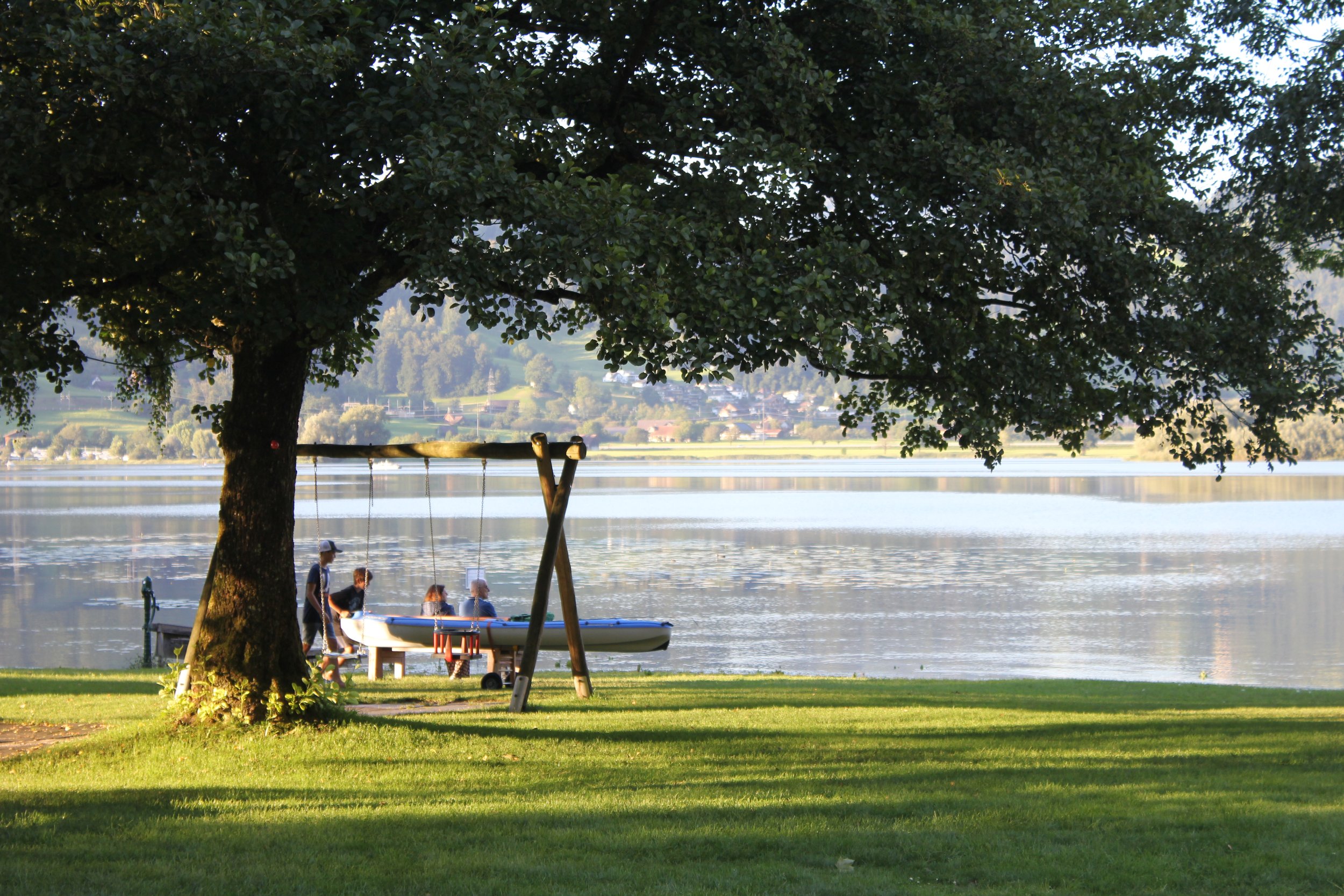 A park scene with a large tree in the foreground, a swing hanging from the tree, and a boat with children and adults near the water. The background shows a lake and distant hillside with houses and trees.