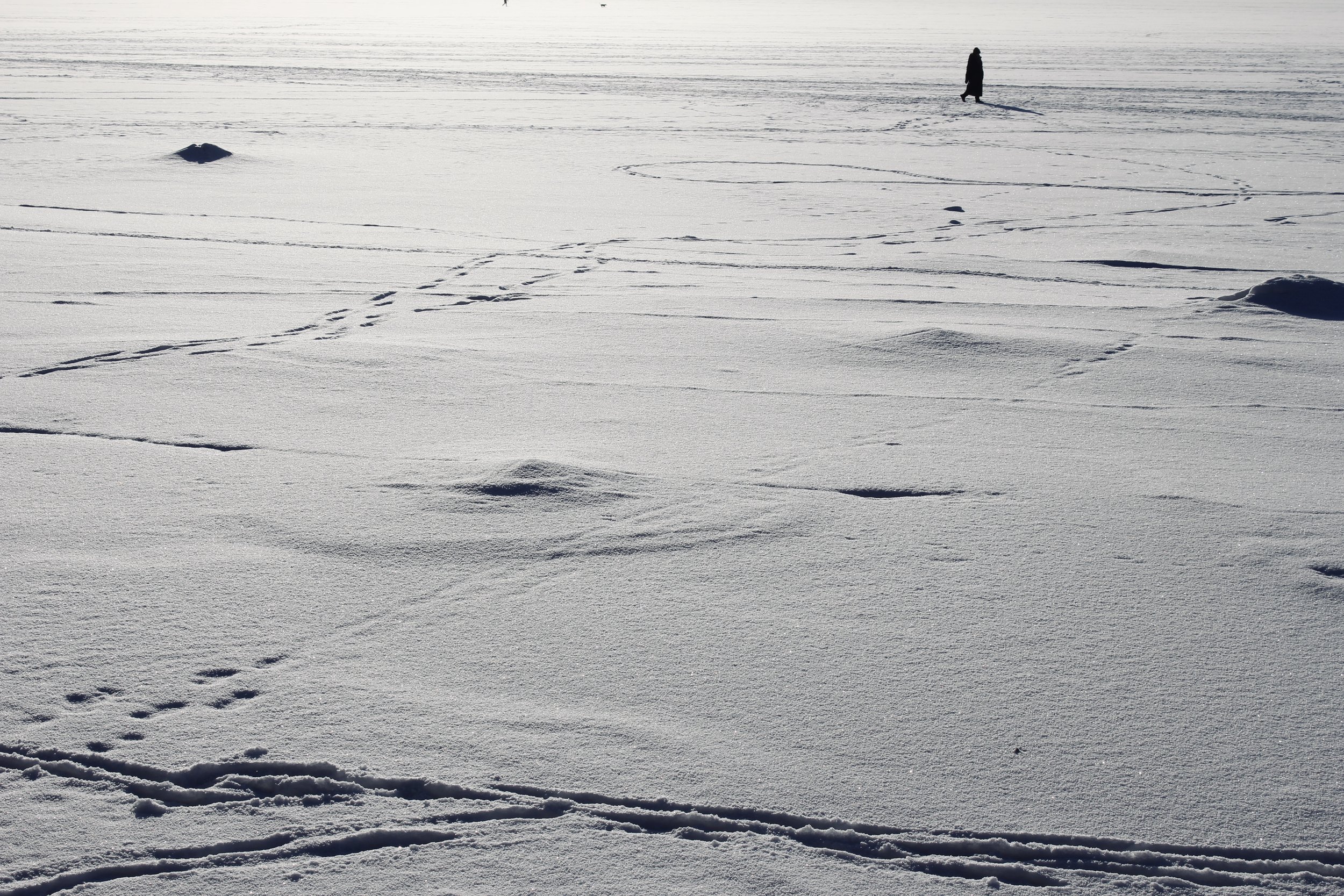 Snow-covered landscape with animal tracks, a person walking in the distance, and a large rock or snow mound in the foreground.