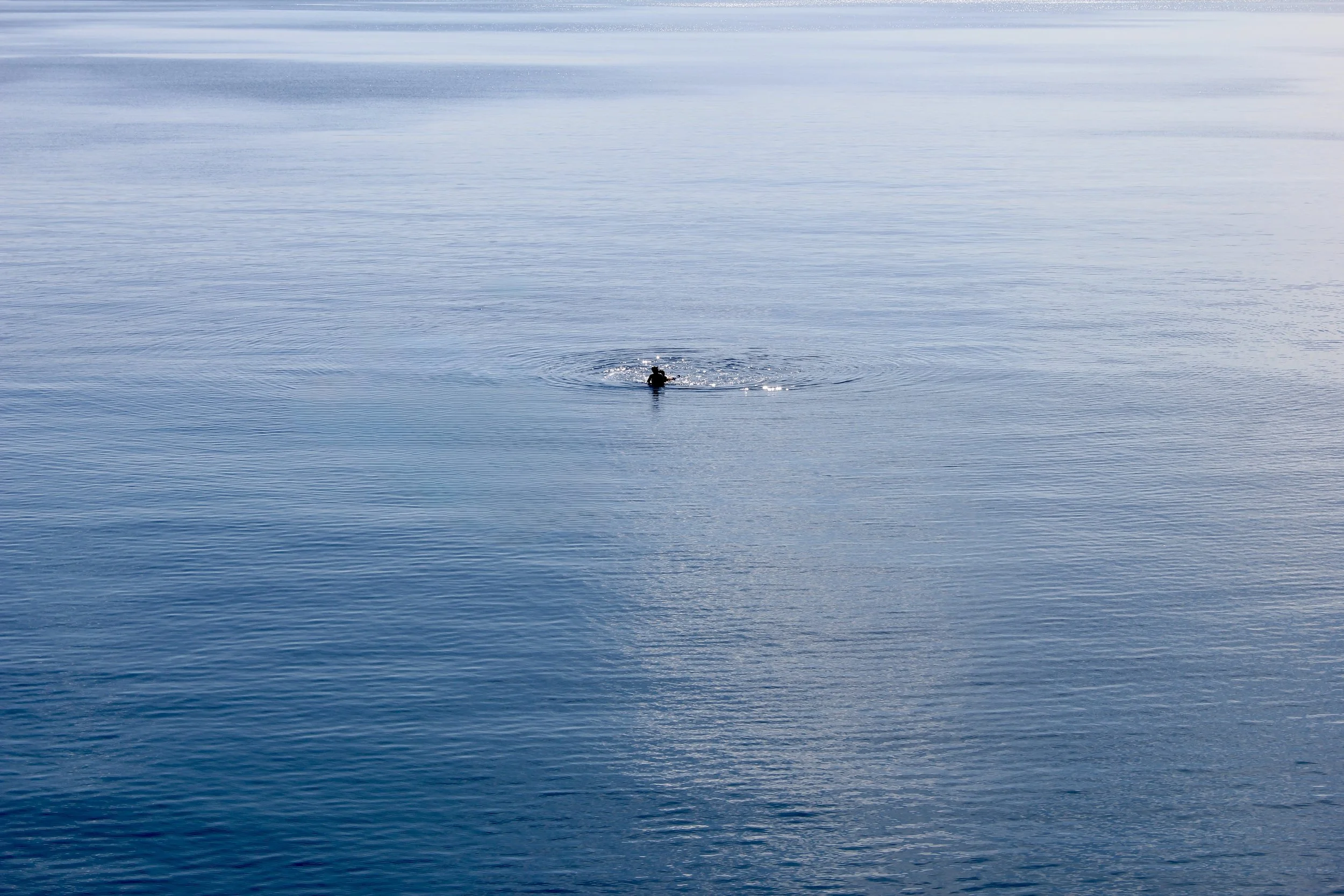 A person swimming in a calm body of water with ripples, possibly a lake or the ocean.