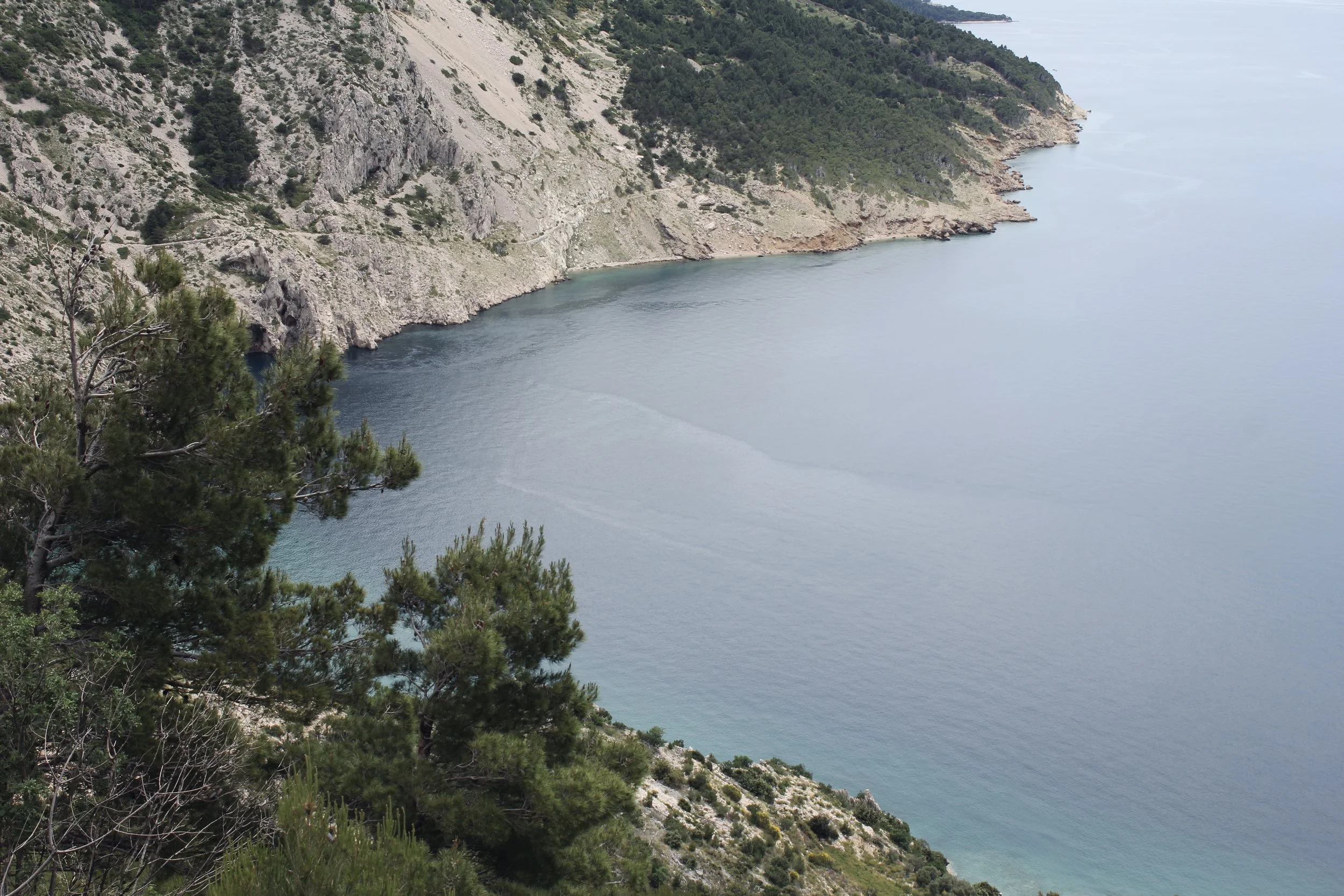 Coastal landscape with steep rocky cliffs and calm water, trees in the foreground.