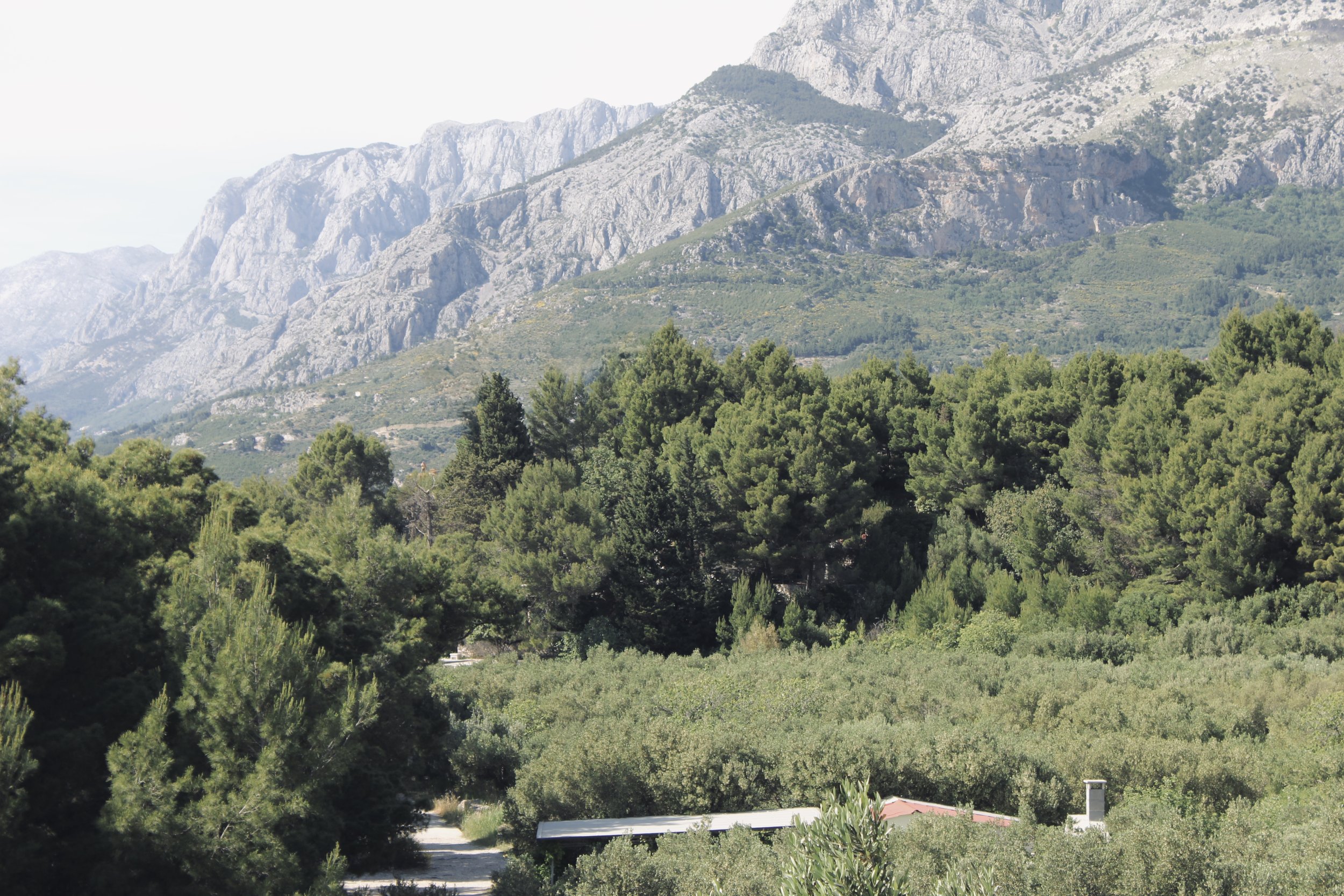 Mountain landscape with rocky peaks in the background and lush green trees in the foreground, with a small building and a road visible at the bottom.