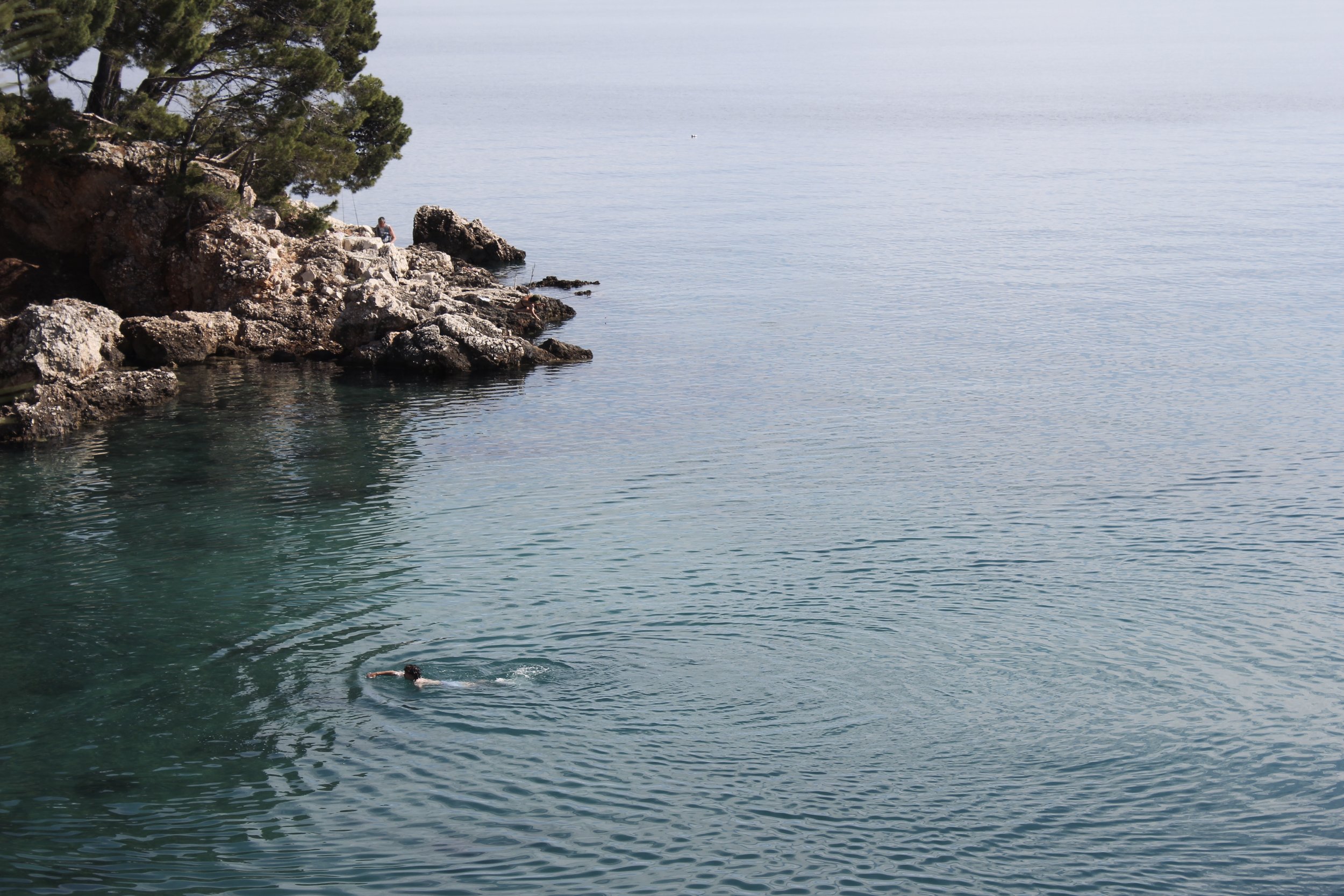 Person swimming in a body of water near rocky shoreline with trees in the background.