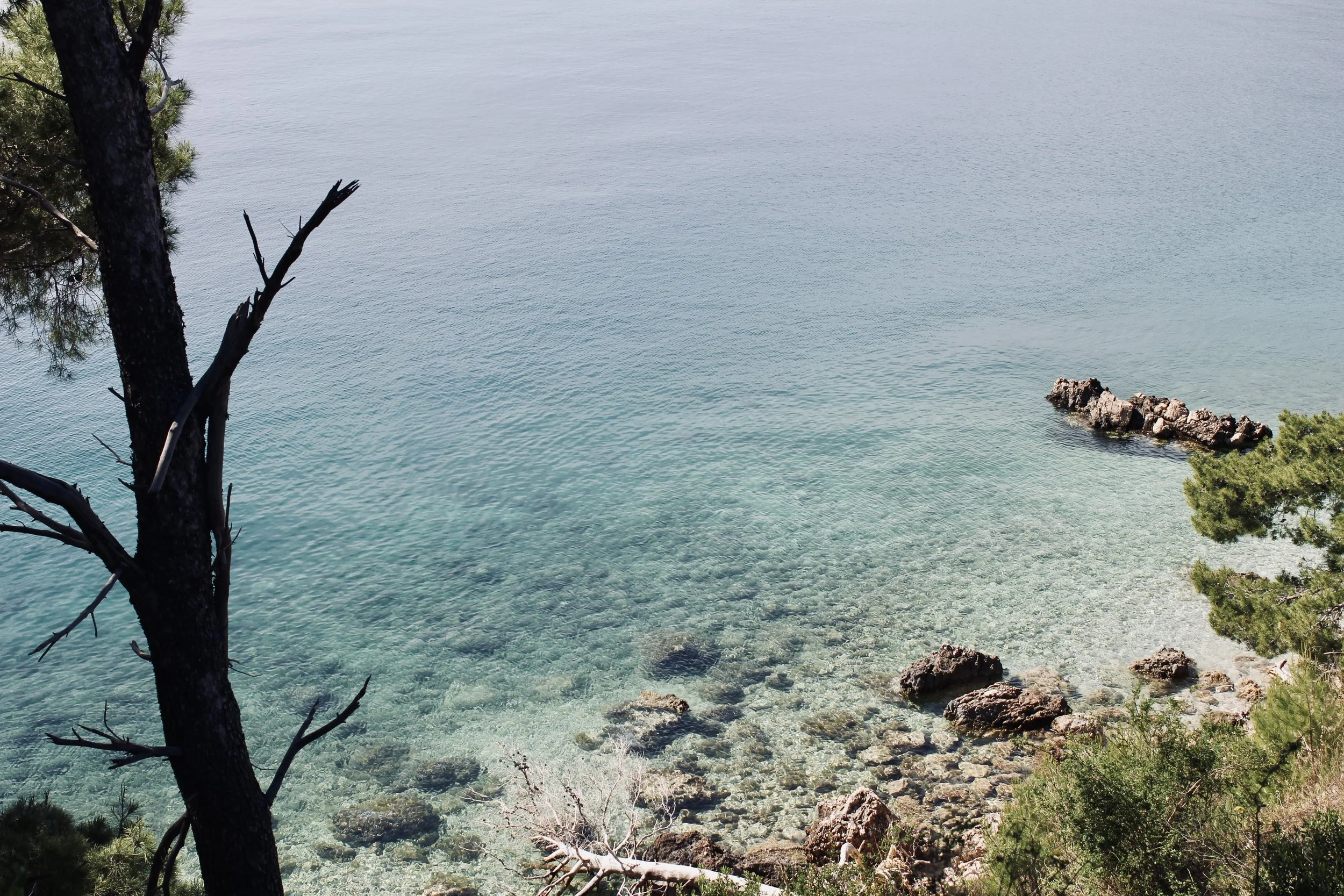 A view of a rocky shoreline with clear turquoise water, partially obscured by a tree in the foreground.