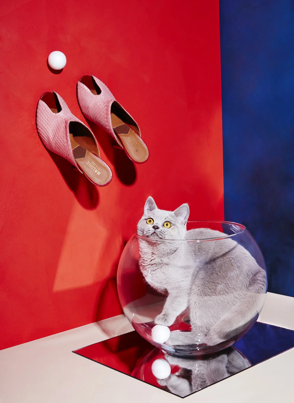 julia_kennedy_puss_puss_10.jpg