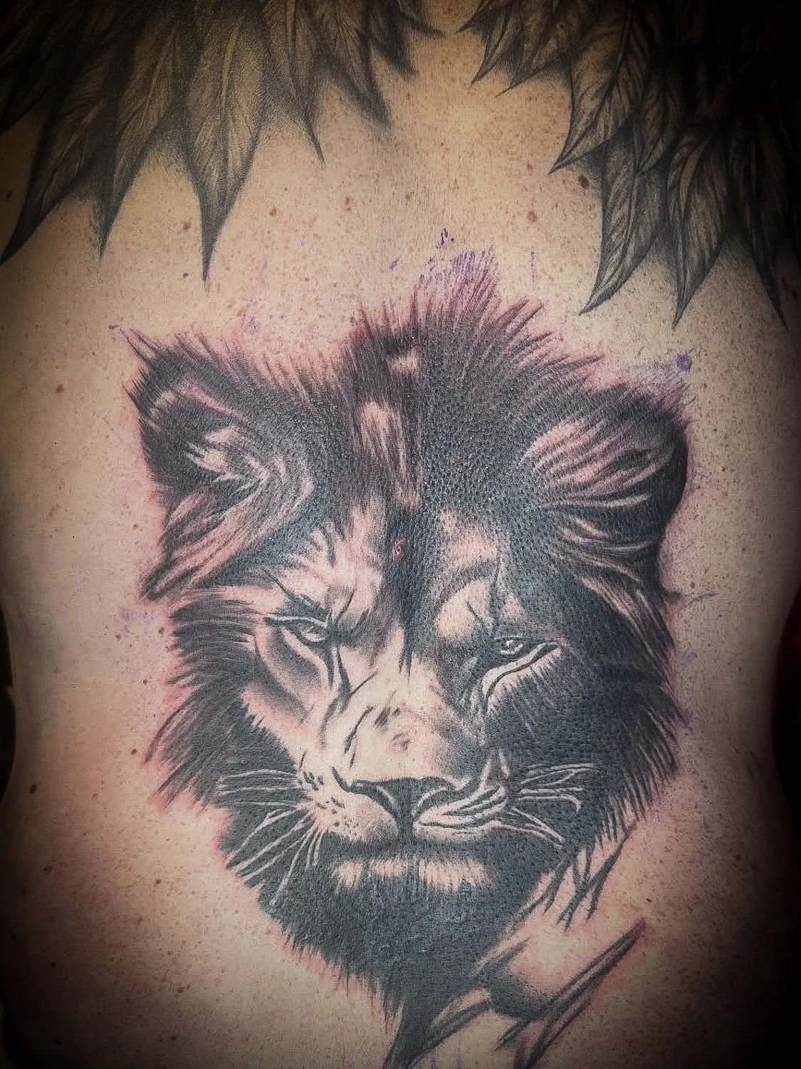 Tattoo of a lion's face on a person's chest, with detailed shading and a realistic style.