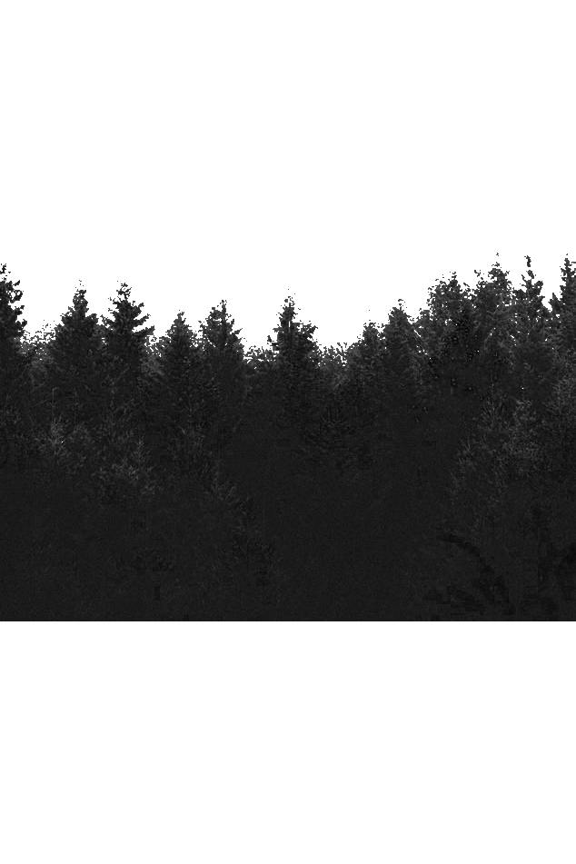 WEBSITE.png