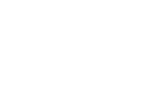PHOENCIAN REVERSE.png