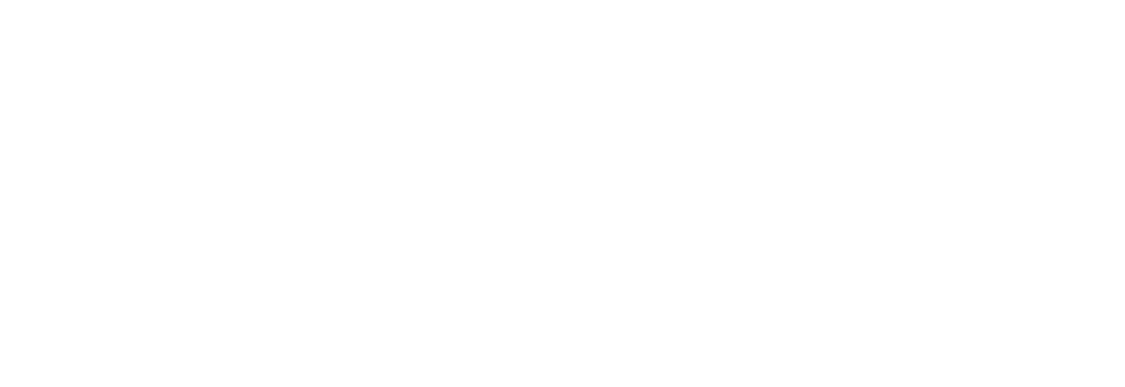 IRA_HORZ_WHITE (1).png
