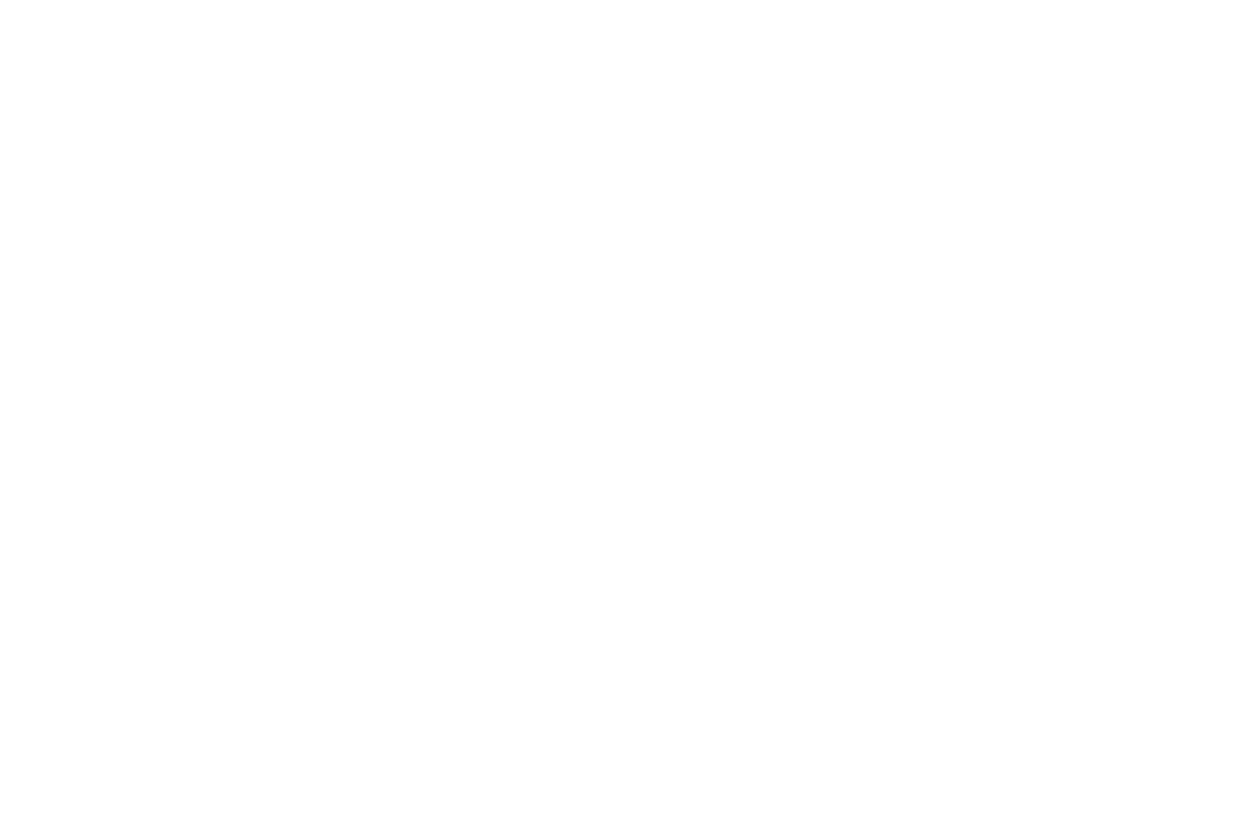 OFFICIAL SELECTION - Red Cedar Film Festival - 2019.png