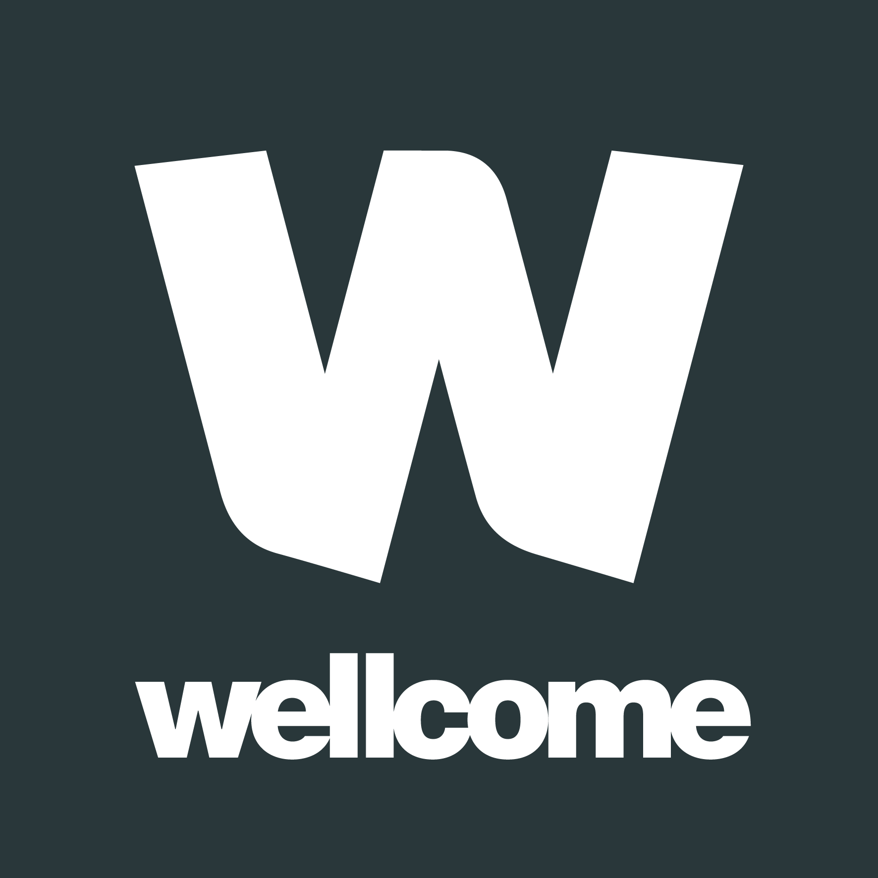 Logo for the Wellcome Trust