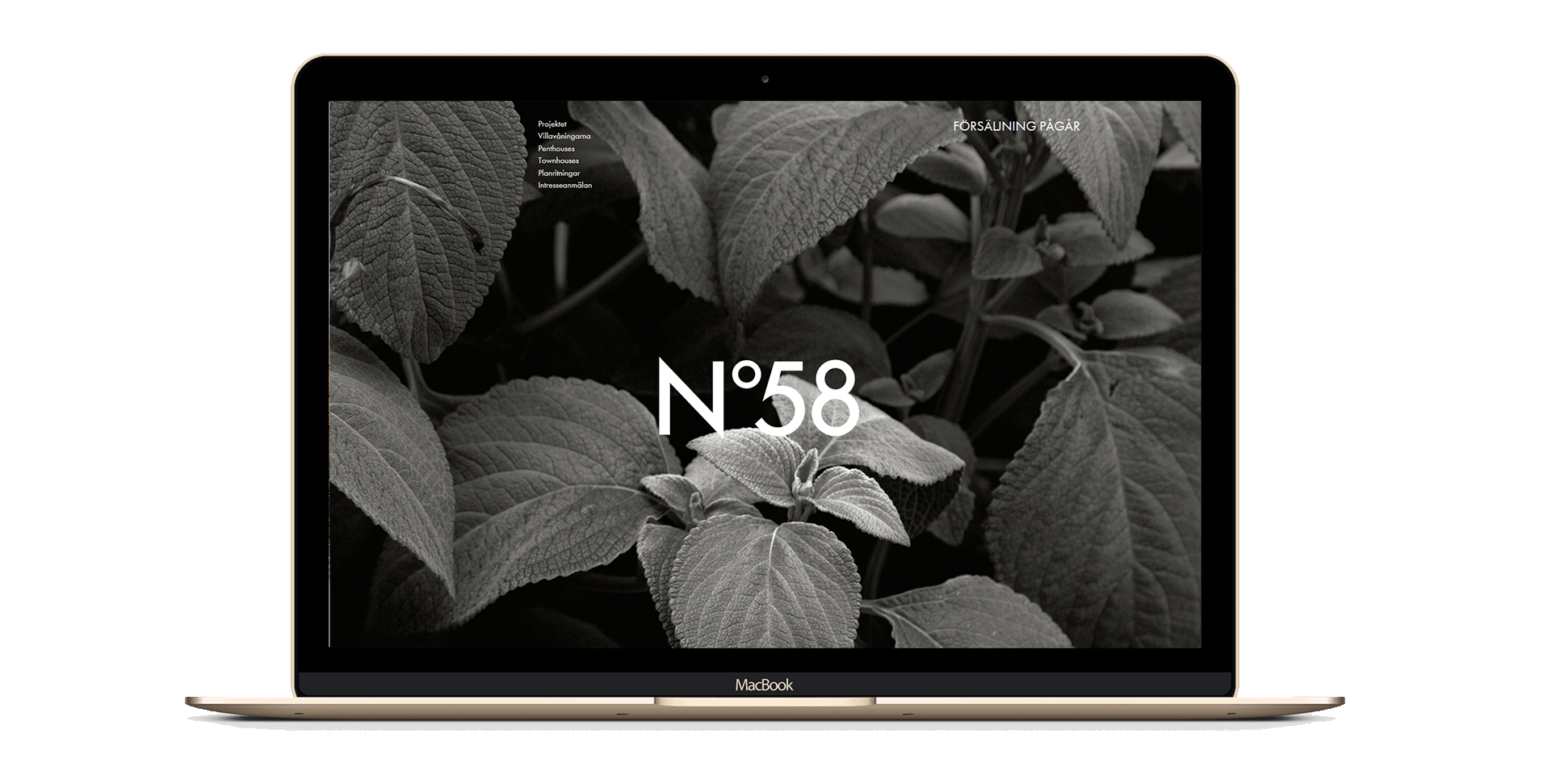 En guldfärgad MacBook med en svartvit bild av blad på skärmen