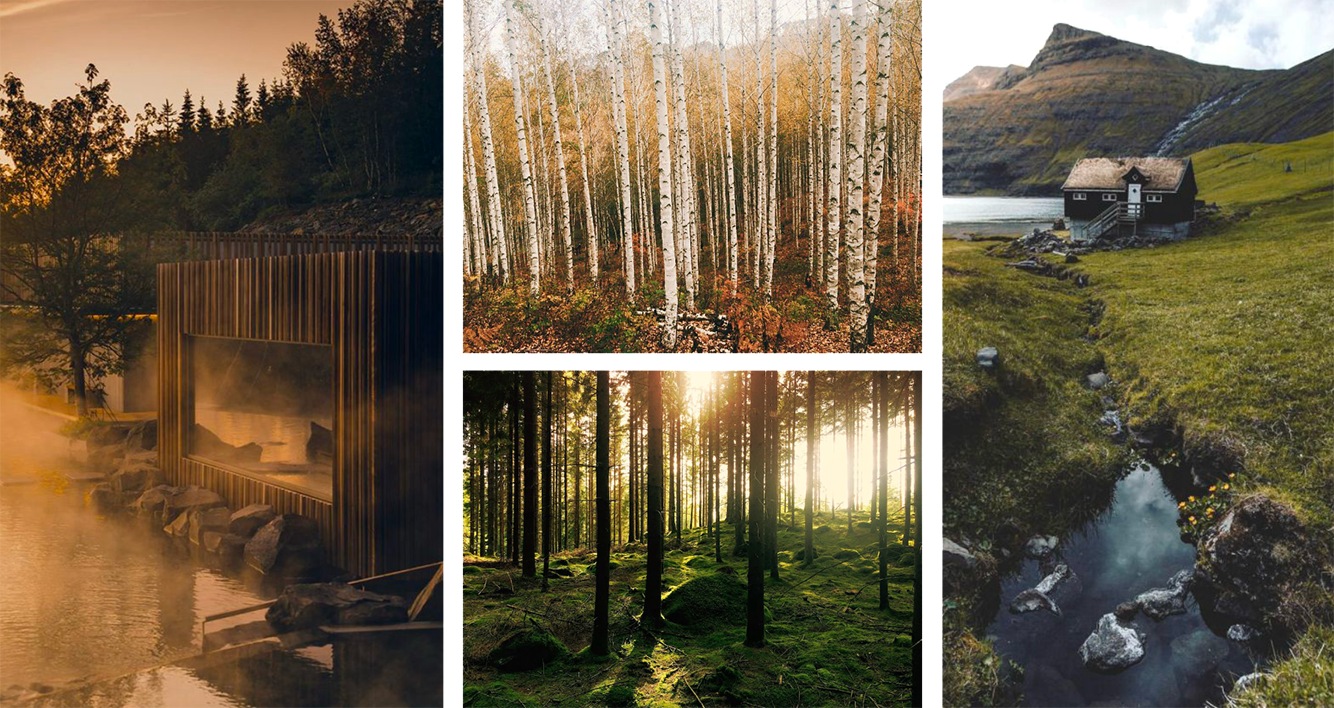 Flera inspo bilder av skogar och landskap i naturen, inklusive en skog med sommarlöv, träd och en sjö med en fjordliknande utsikt i projektet Amex i Stockholm