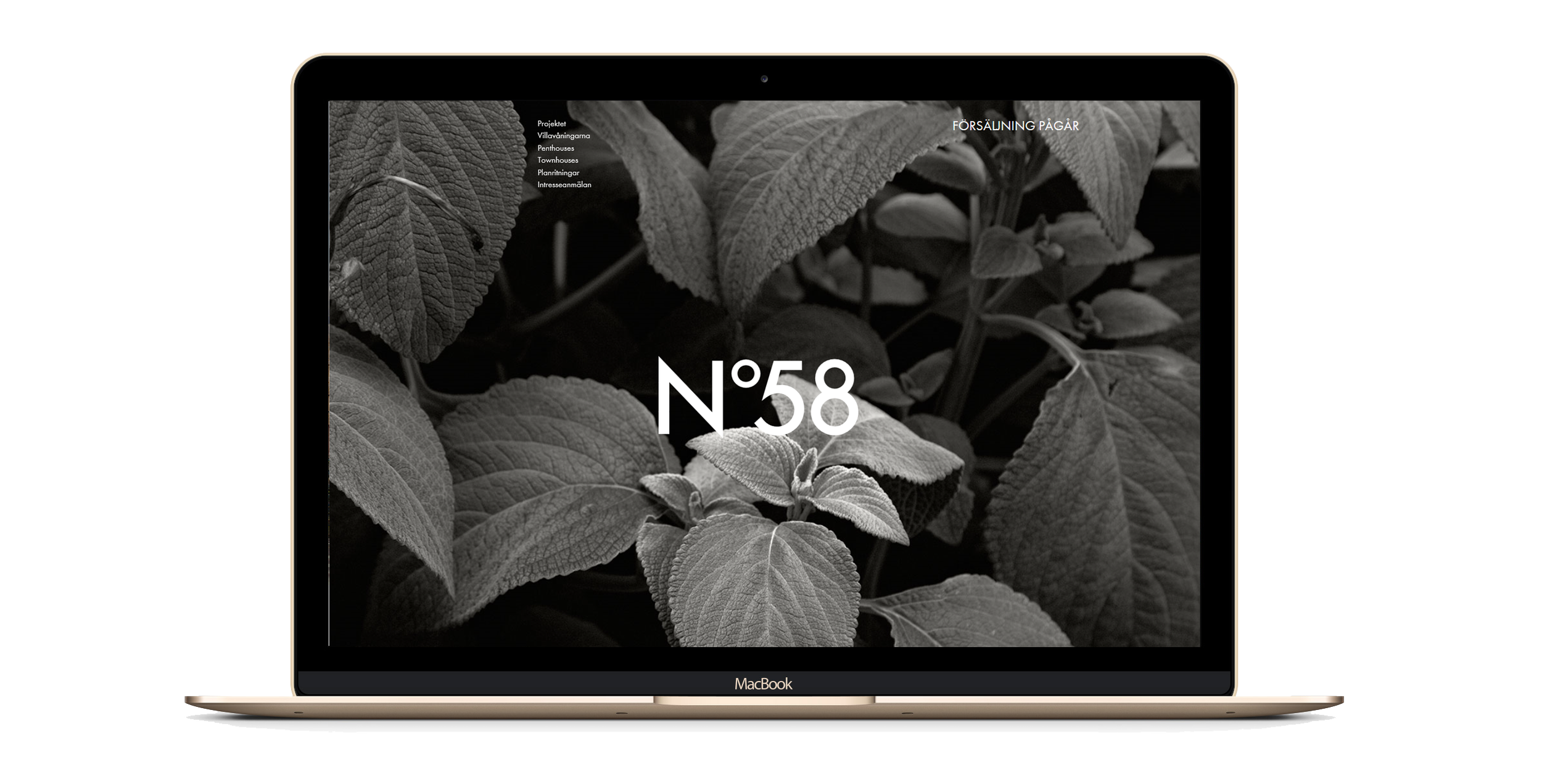 Bedow_Impremta-Garden_2.png