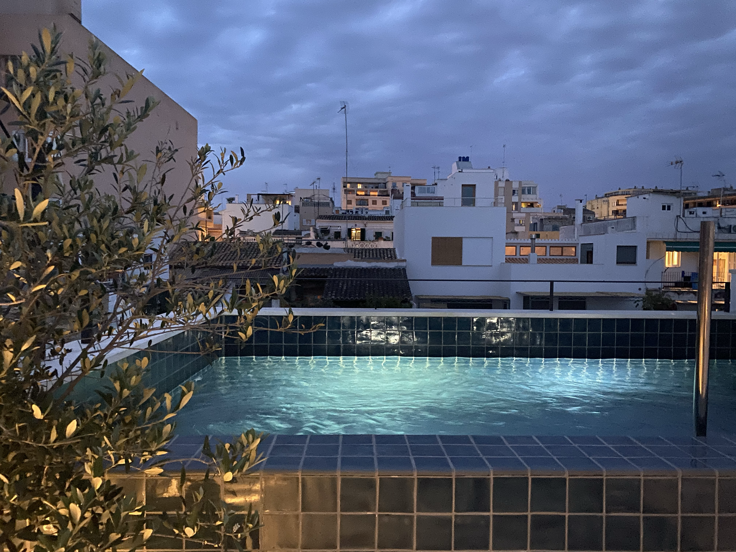 Whyte_Lilja_Spain_Casa_Amagada_Pool.png