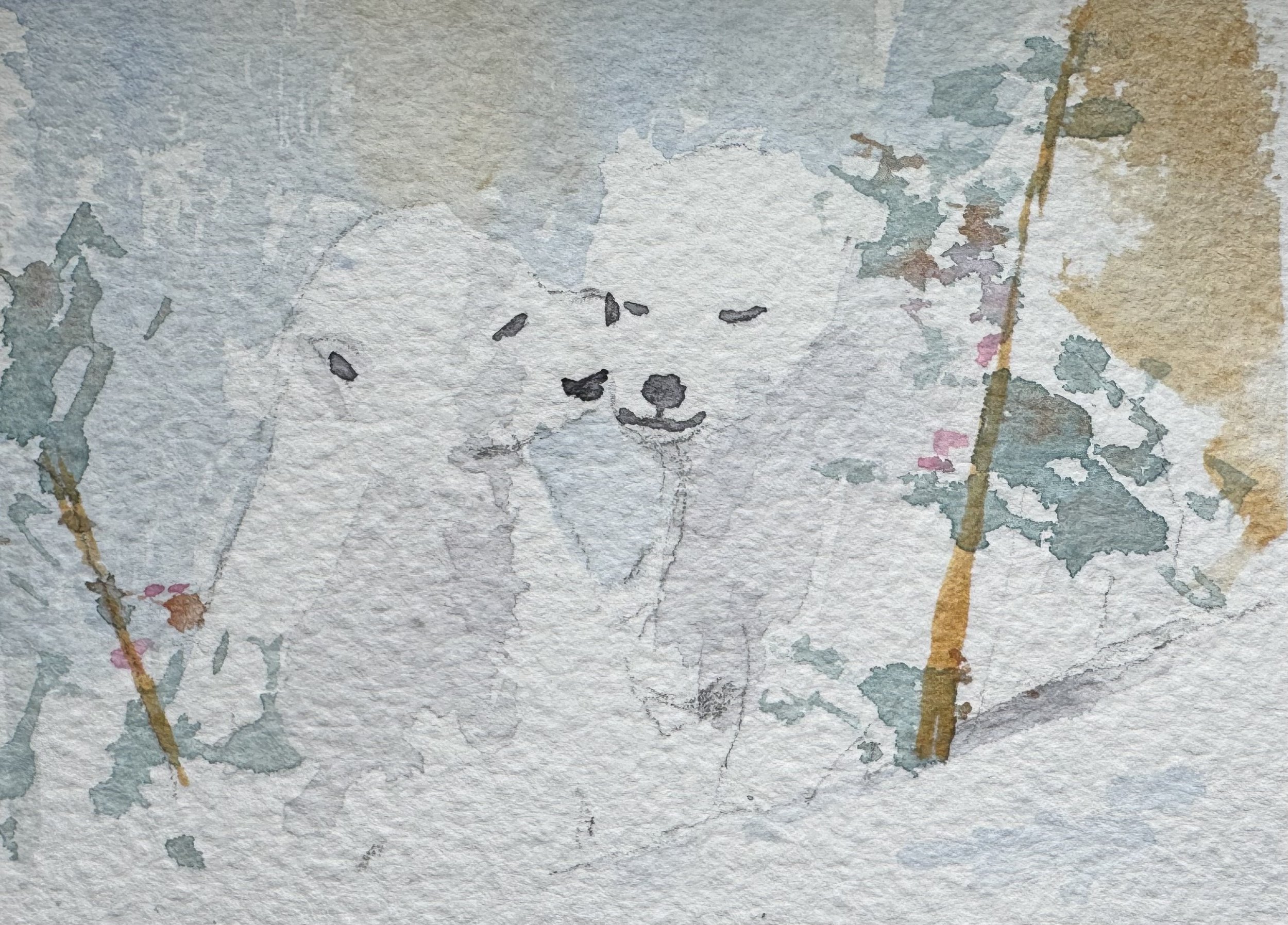 Polar Bear Cubs 2025