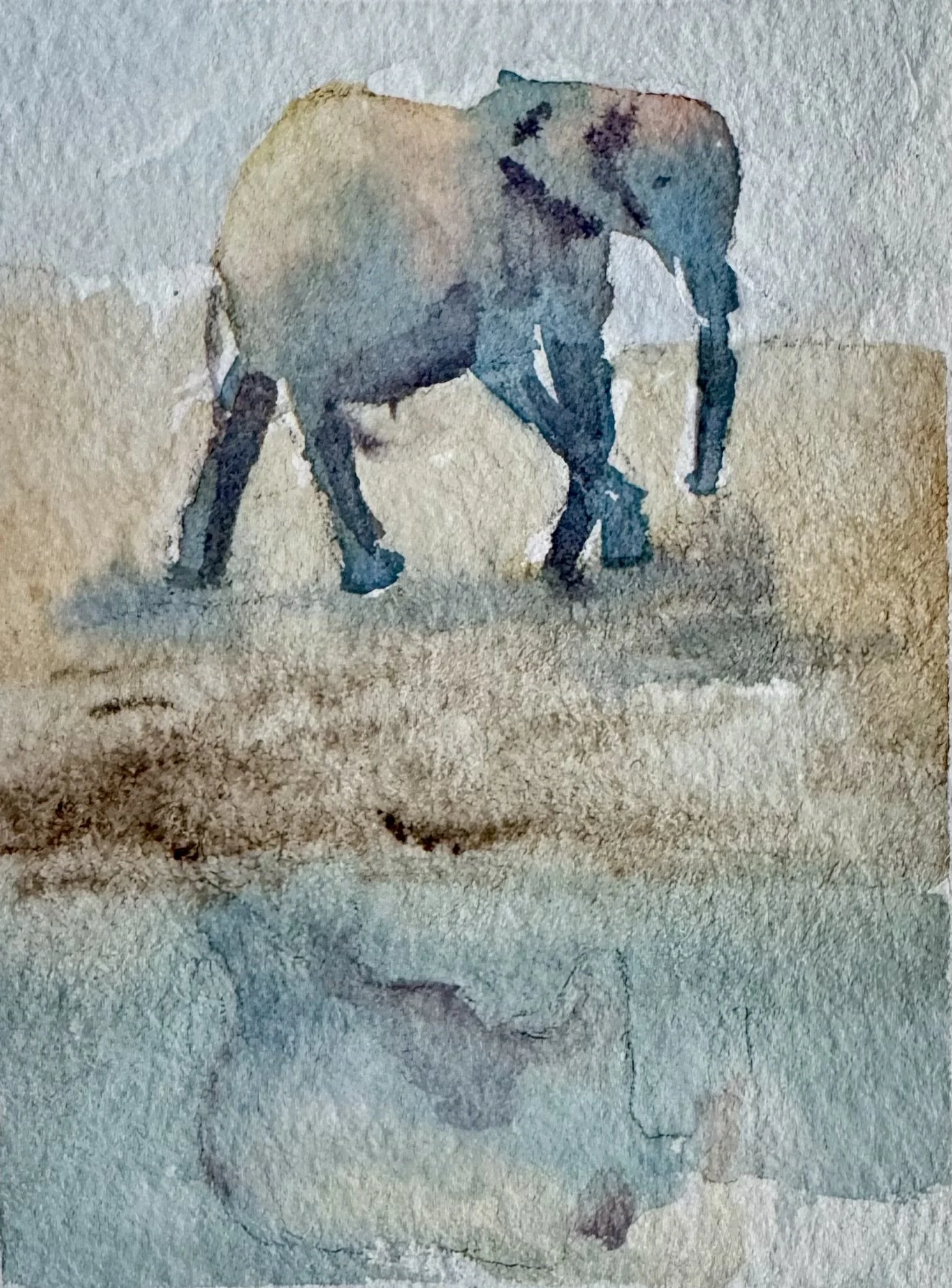 Elephant 2026