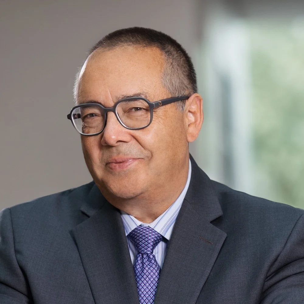 Prof. Dr. Dr. h.c. Helmut Krcmar