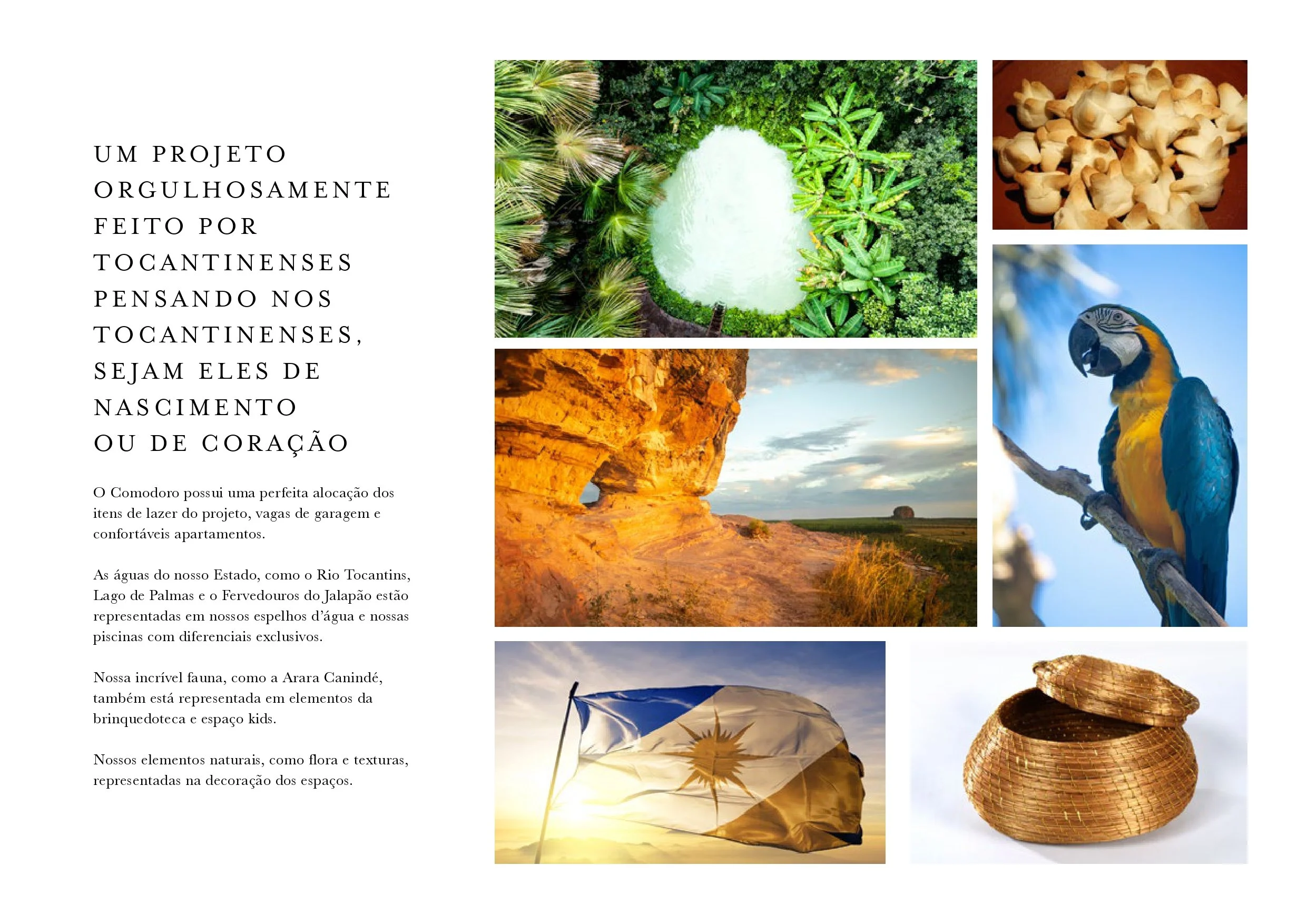 BOOK COMODORO_page-0009.jpg