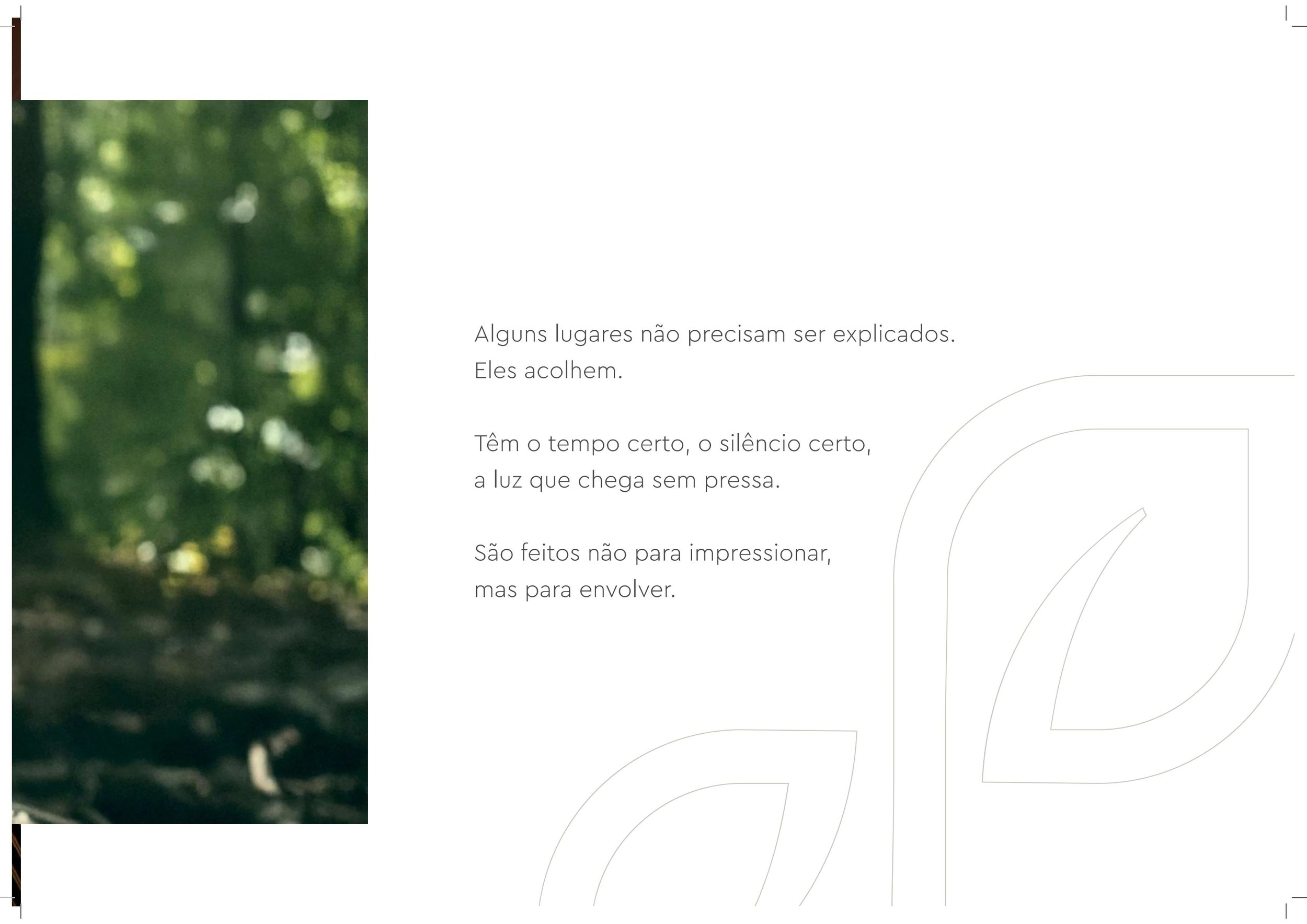 Book+%2B+plantas_page-0002.jpg