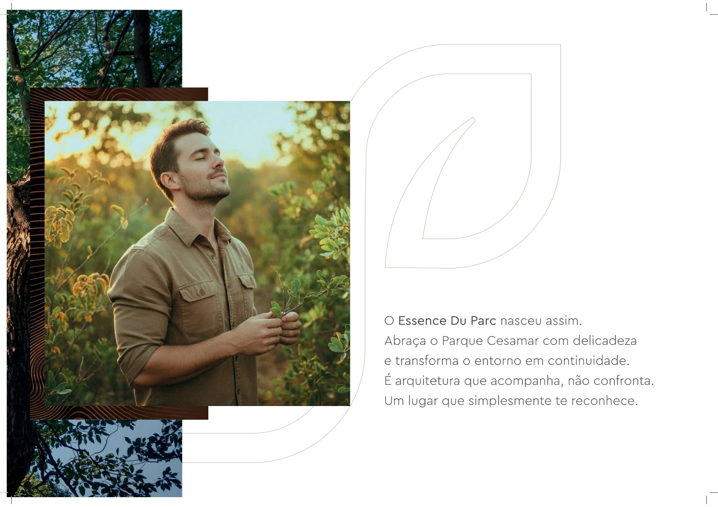 Book+%2B+plantas_page-0003.jpg