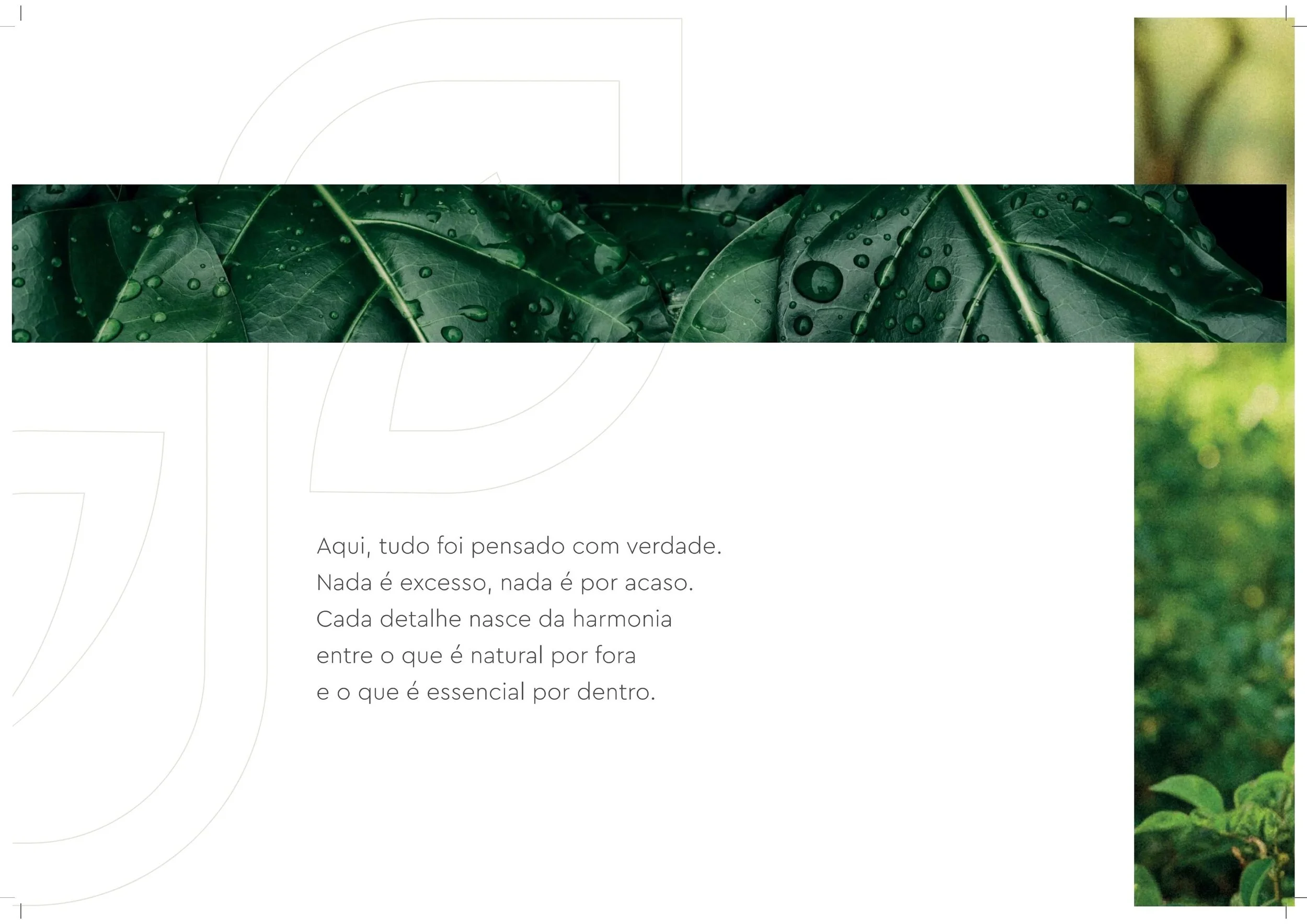 Book+%2B+plantas_page-0004.jpg