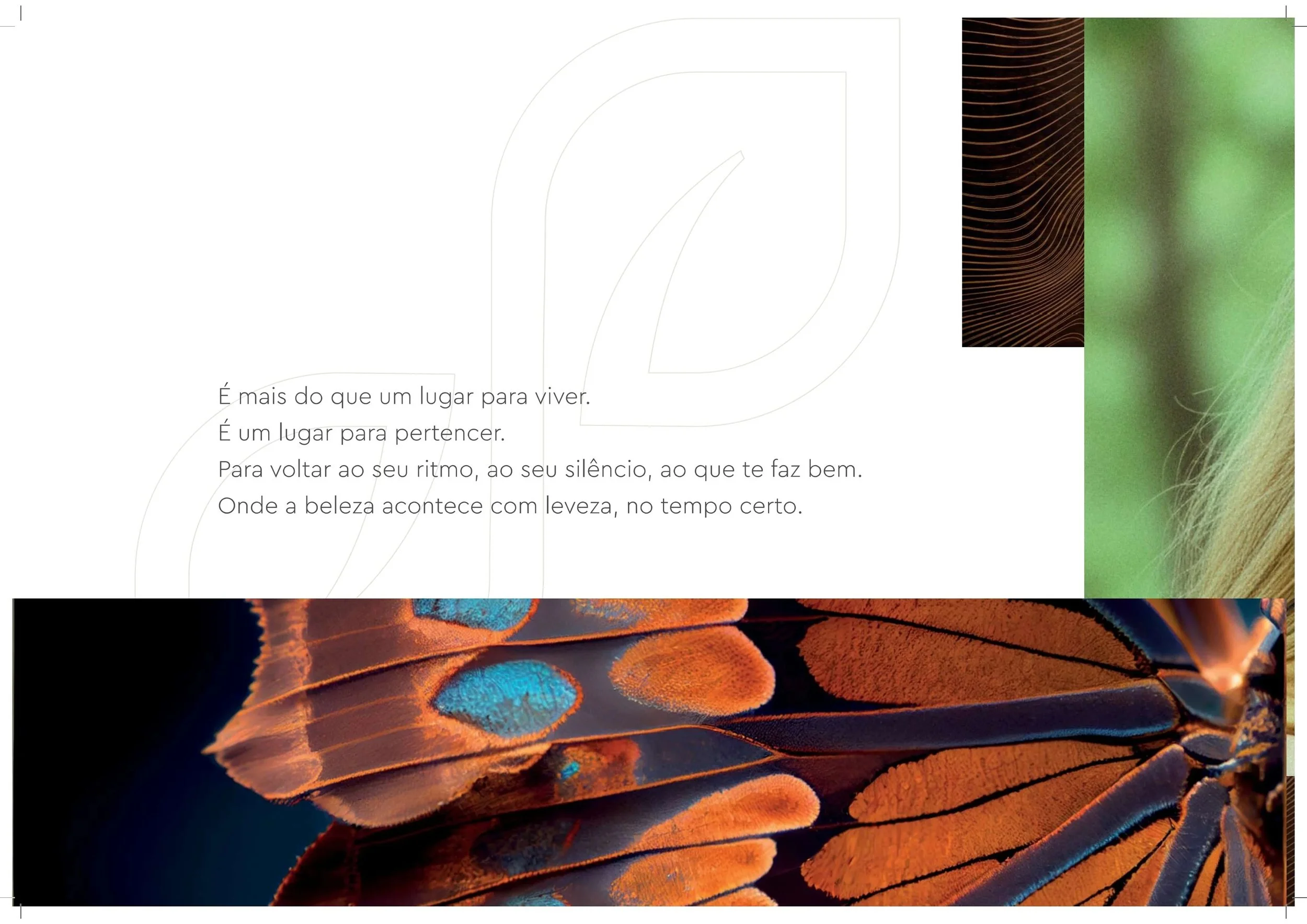Book+%2B+plantas_page-0005.jpg