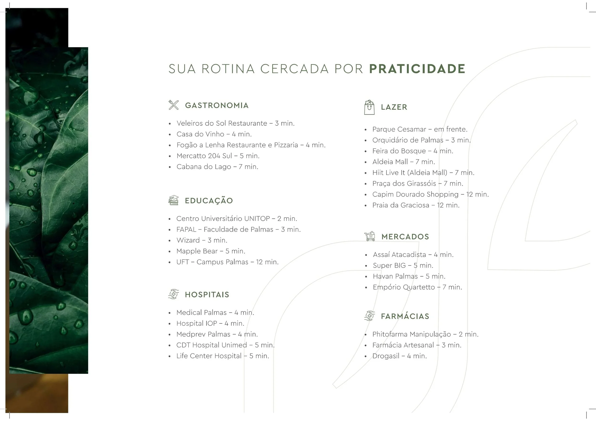 Book+%2B+plantas_page-0008.jpg