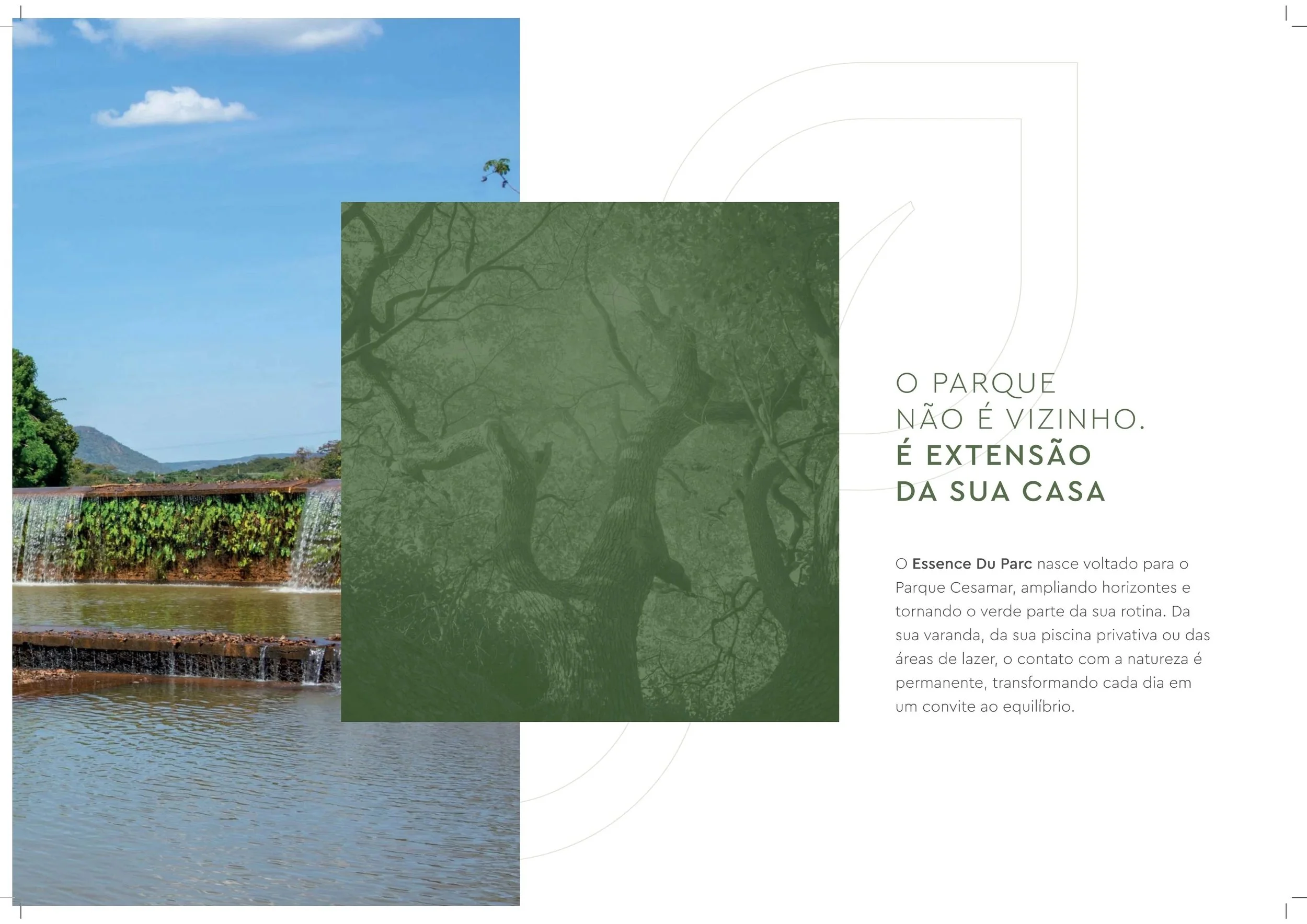 Book+%2B+plantas_page-0009.jpg