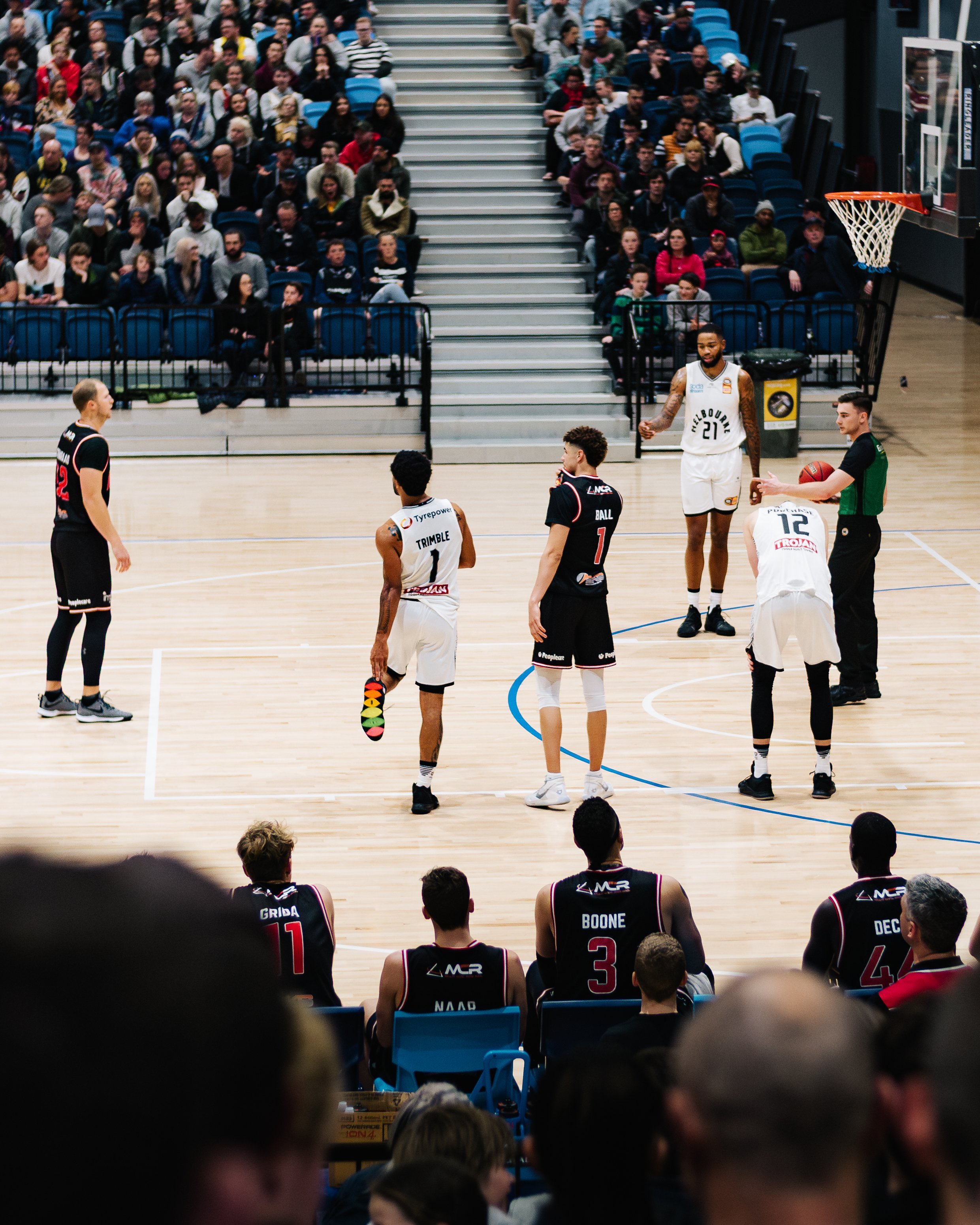 lamelo-4.jpg