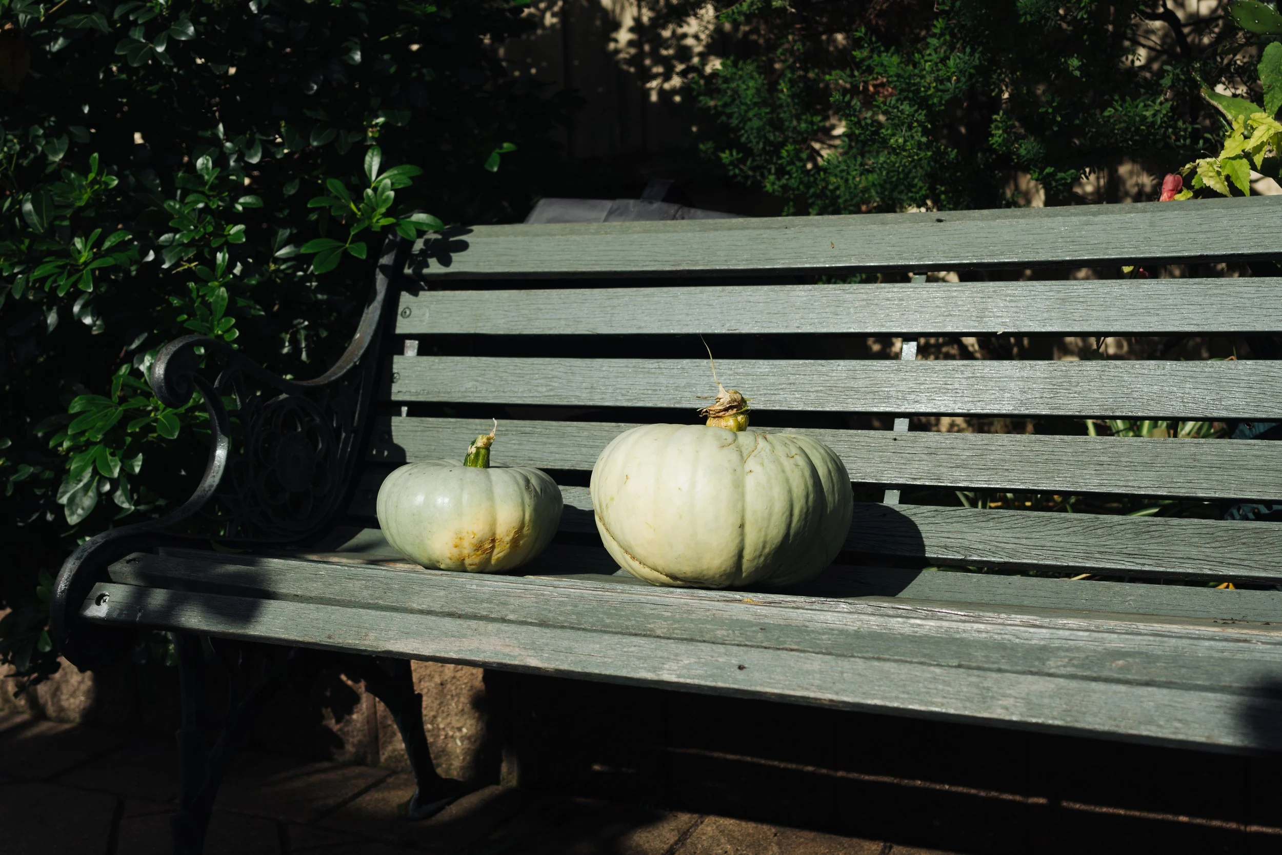 mama pumpkin-1.jpg