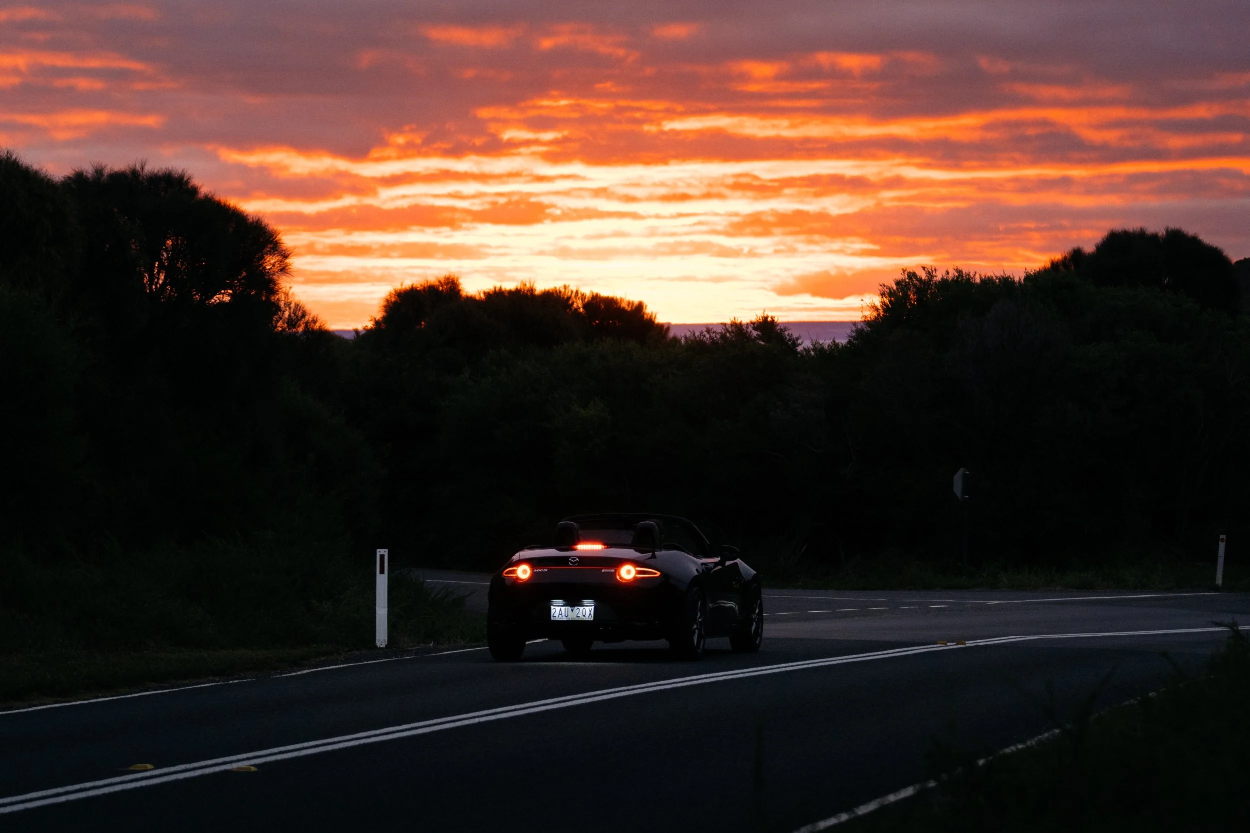 car-203.jpg