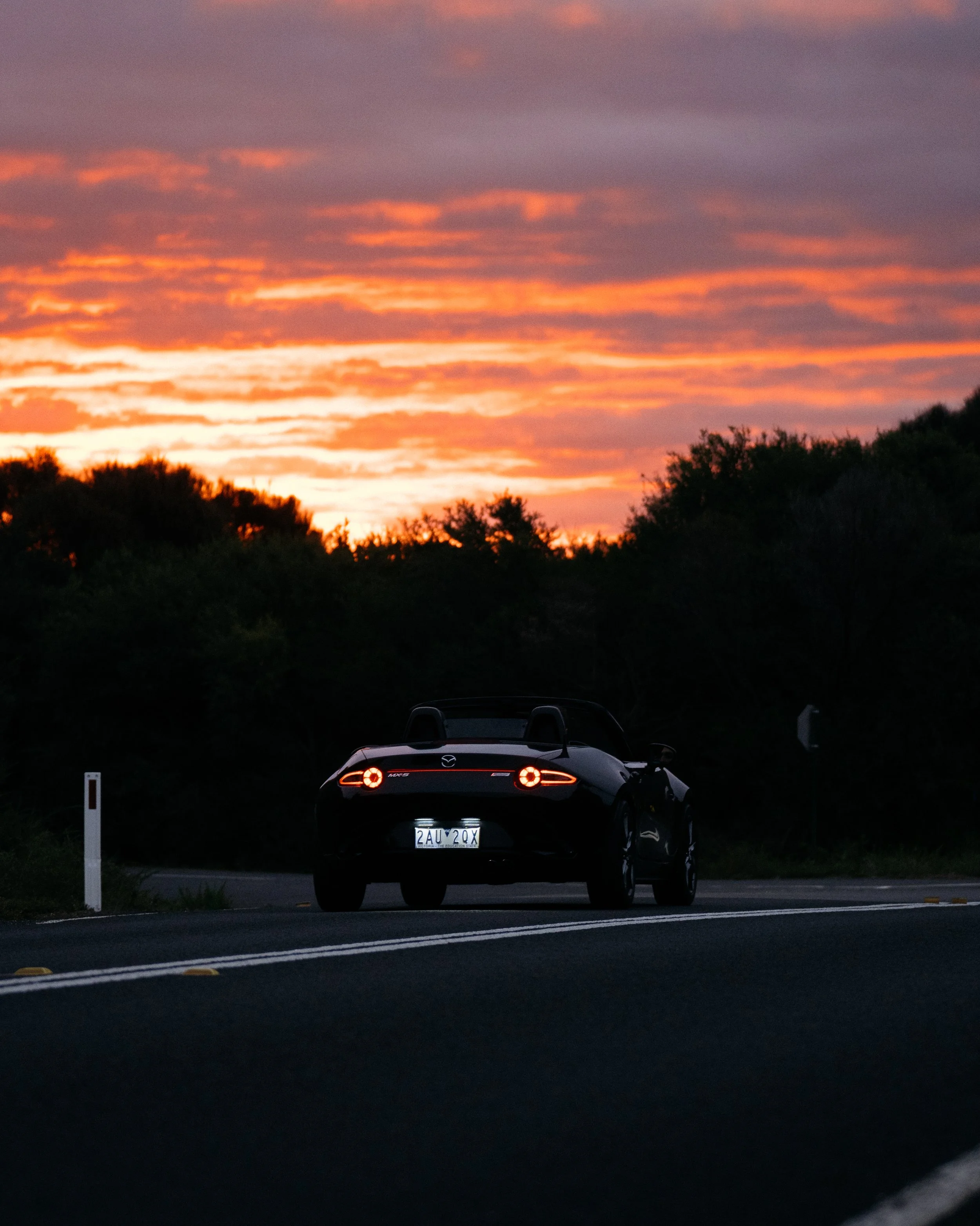 car-204.jpg