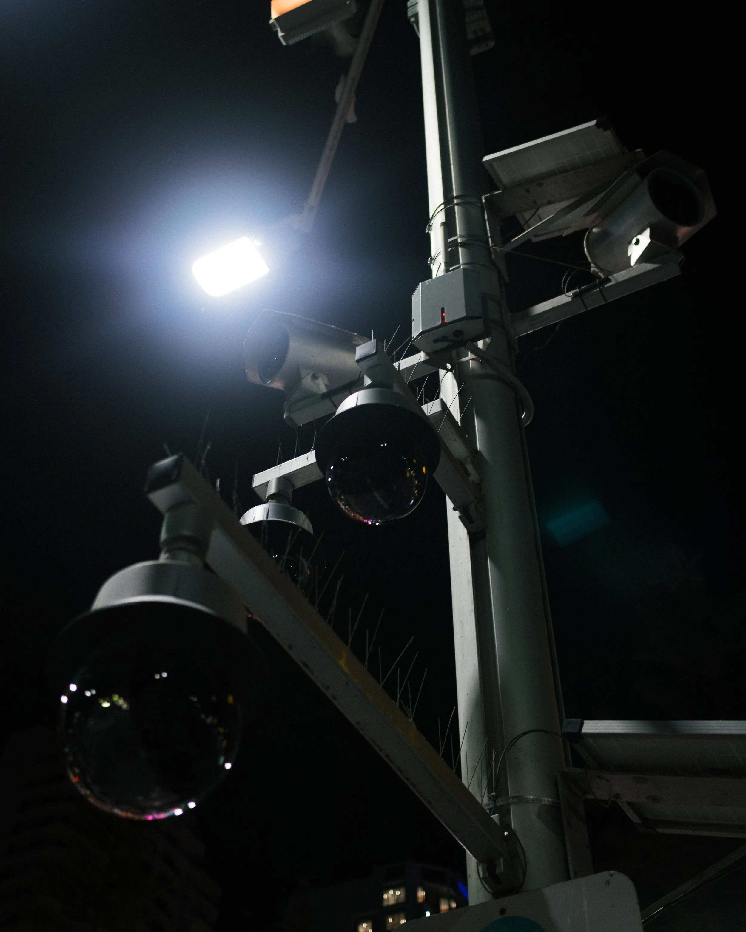 qld red cam-167.jpg