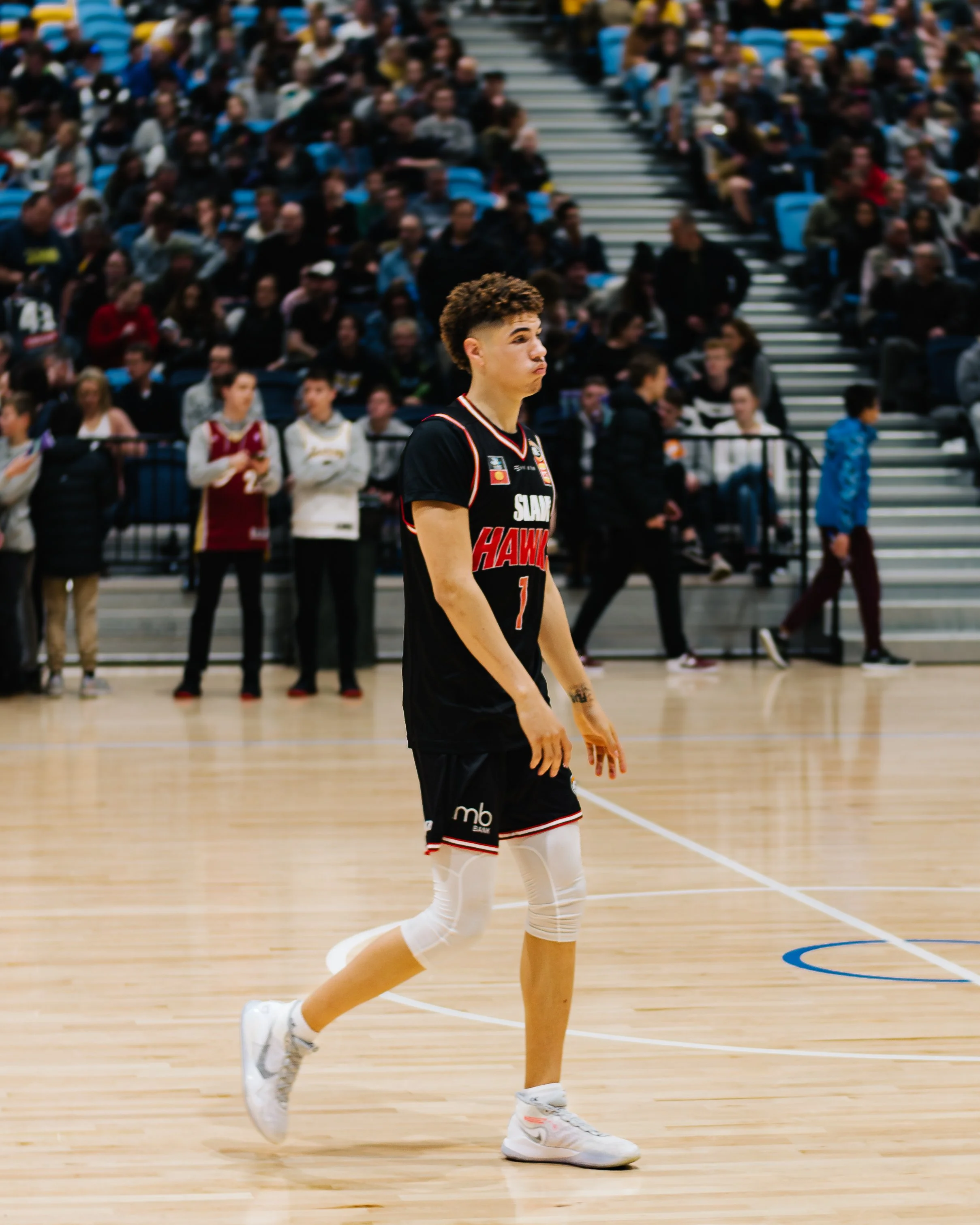 lamelo-6.jpg