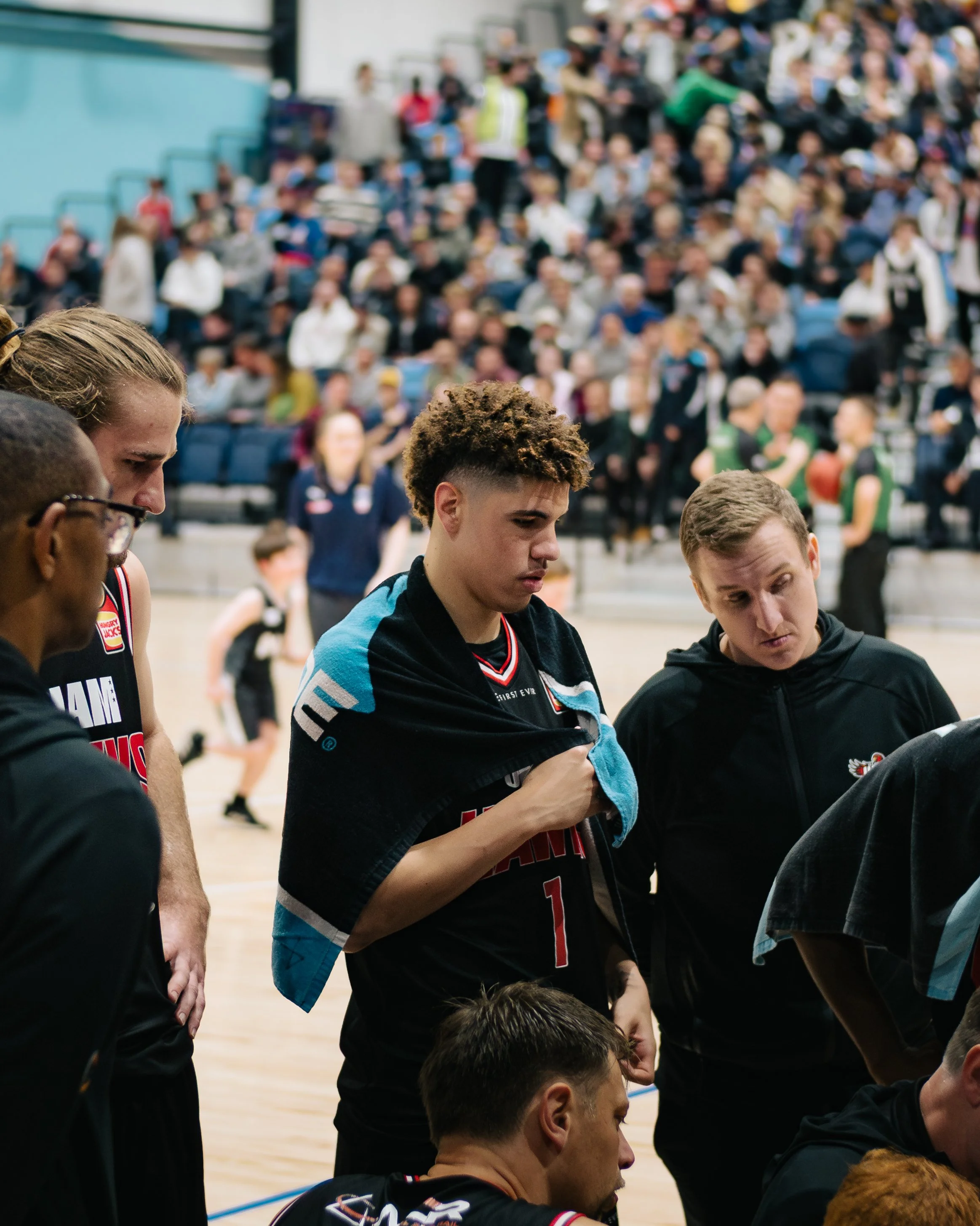 lamelo-2.jpg