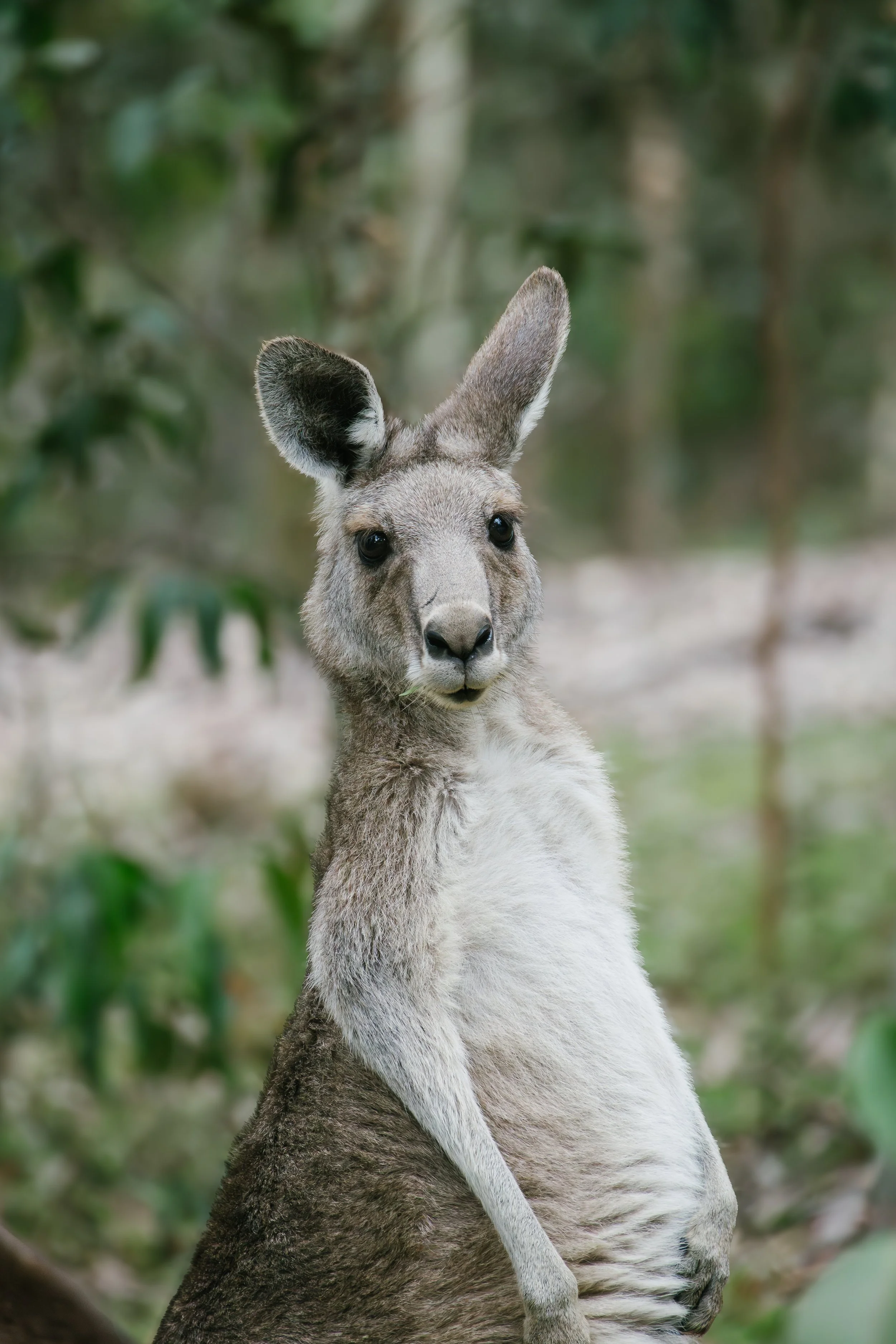 lysterfield max quality-105.jpg