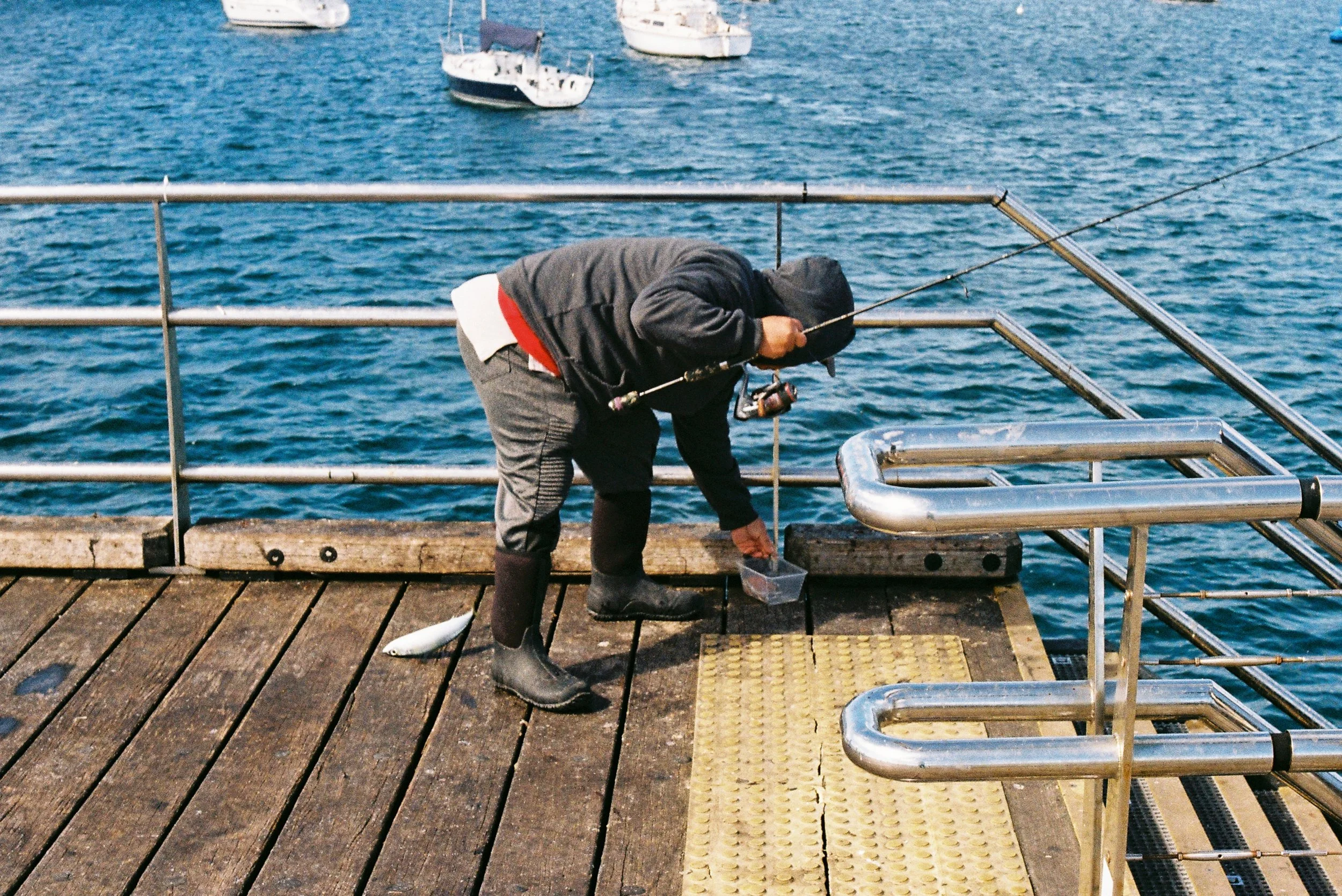 mornington-17.jpg