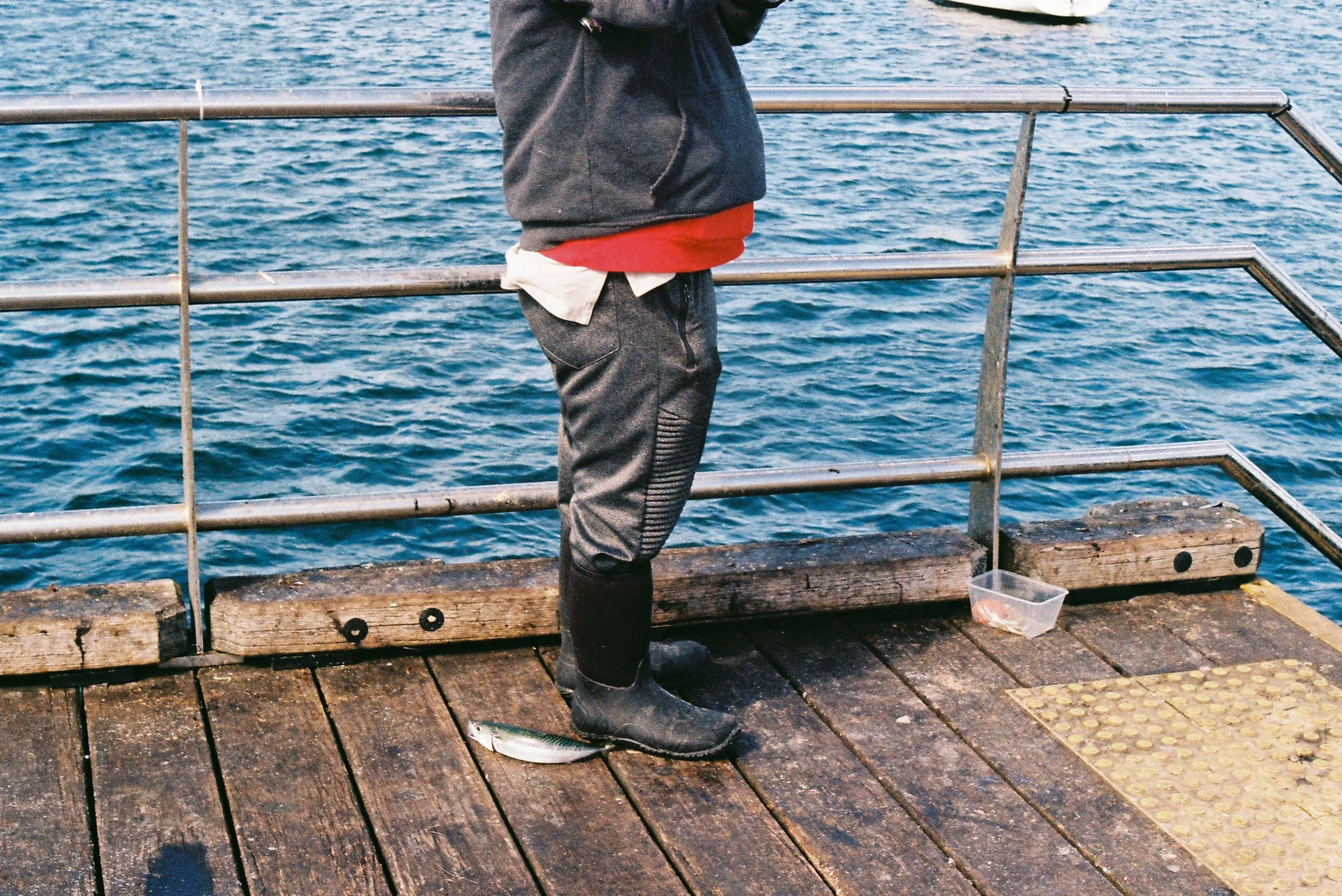 mornington-18.jpg