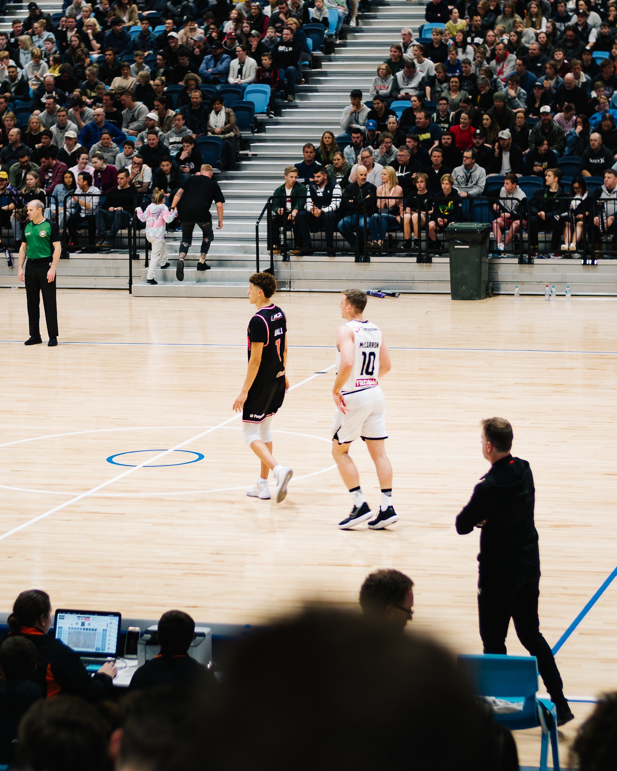 lamelo-3.jpg