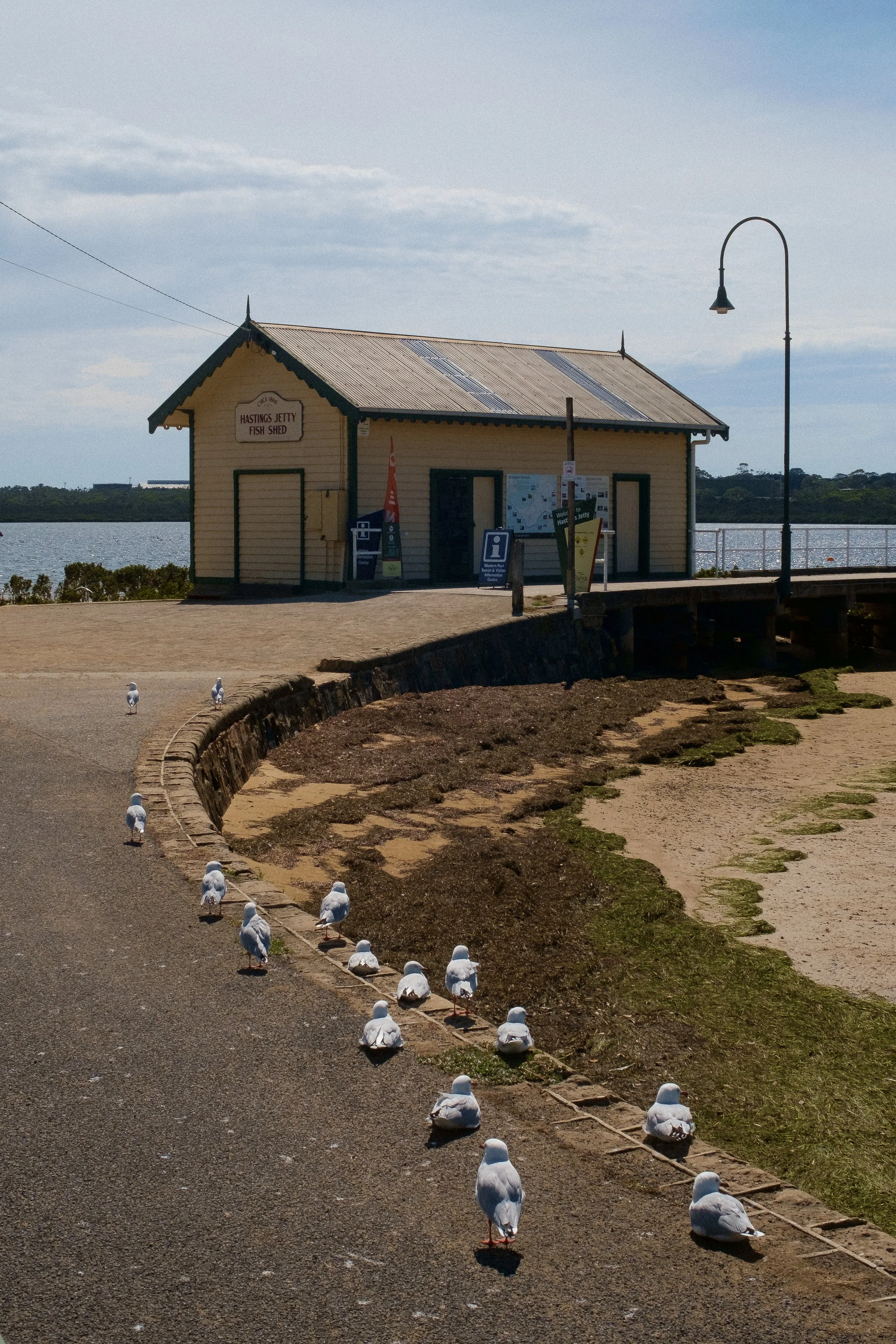 hastings-7.jpg