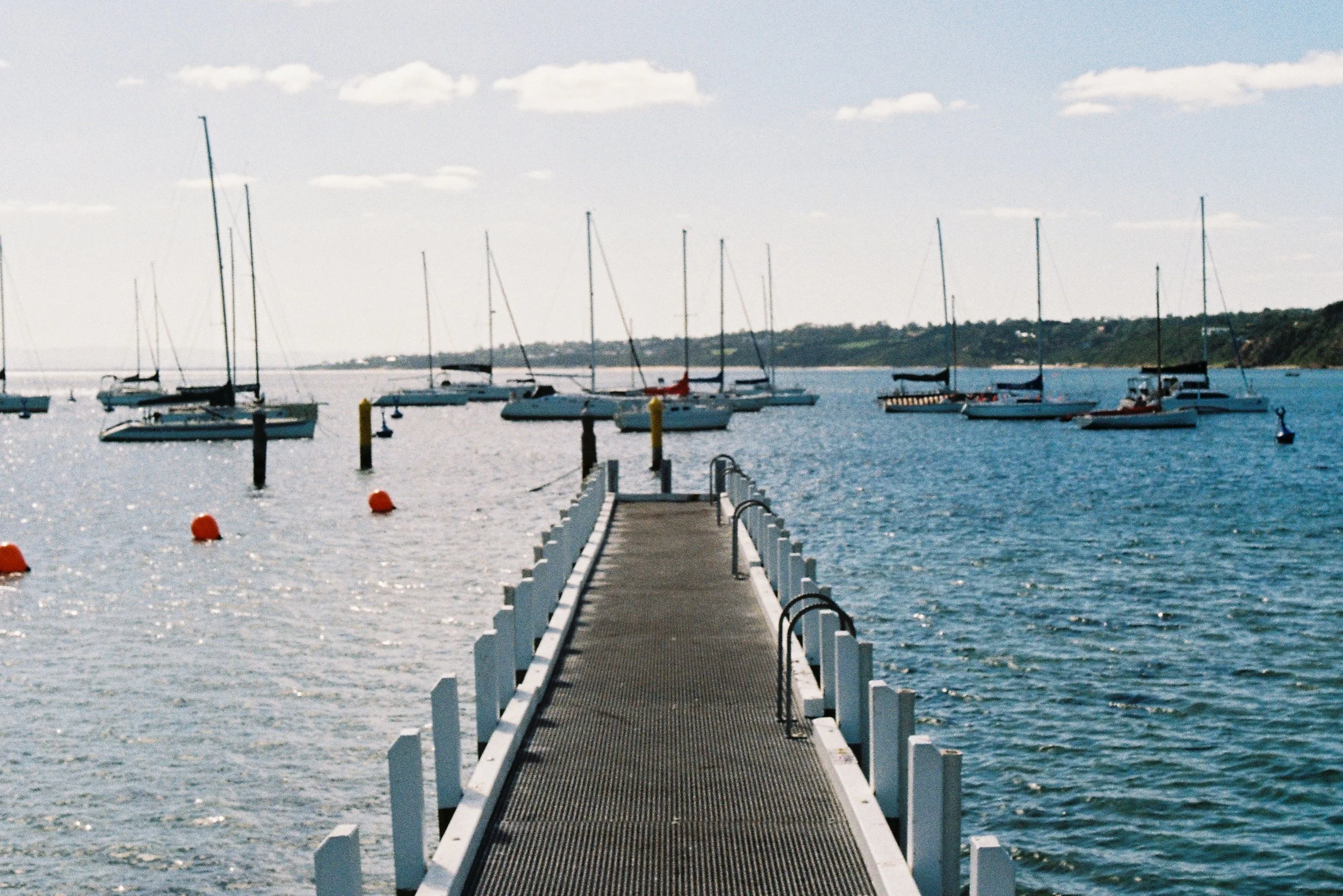 mornington-21.jpg