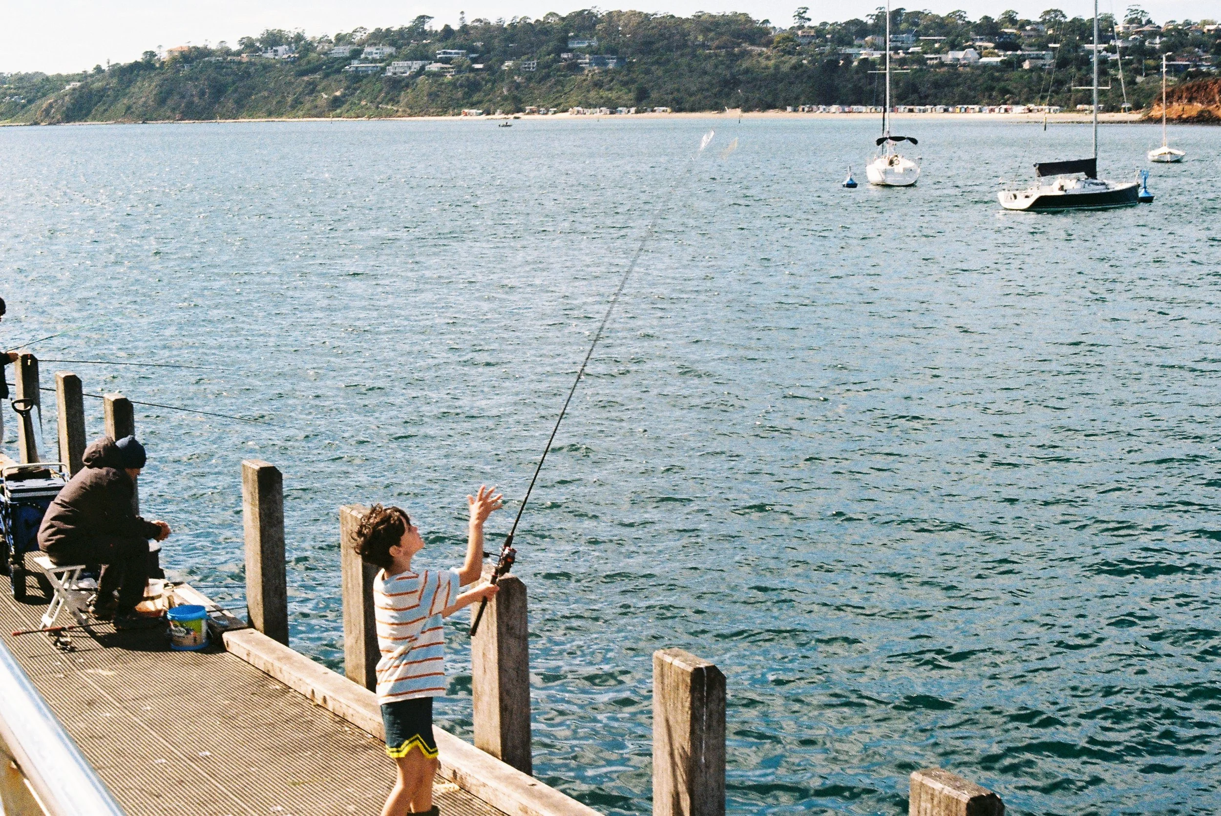 mornington-11.jpg