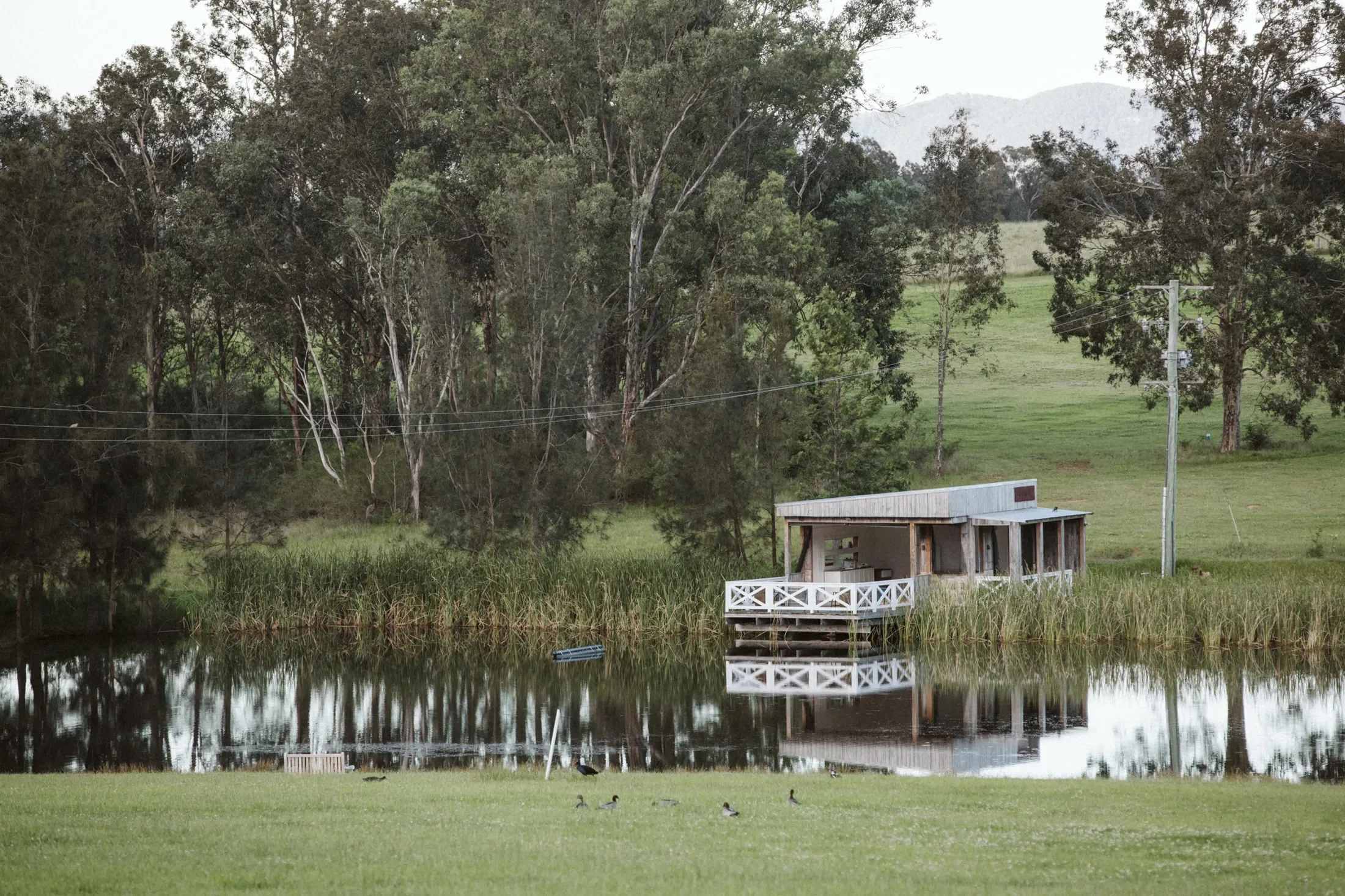 A peaceful lakeside scene with a small wooden dock and house reflected in the water, surrounded by green grass, trees, and power lines under an overcast sky.