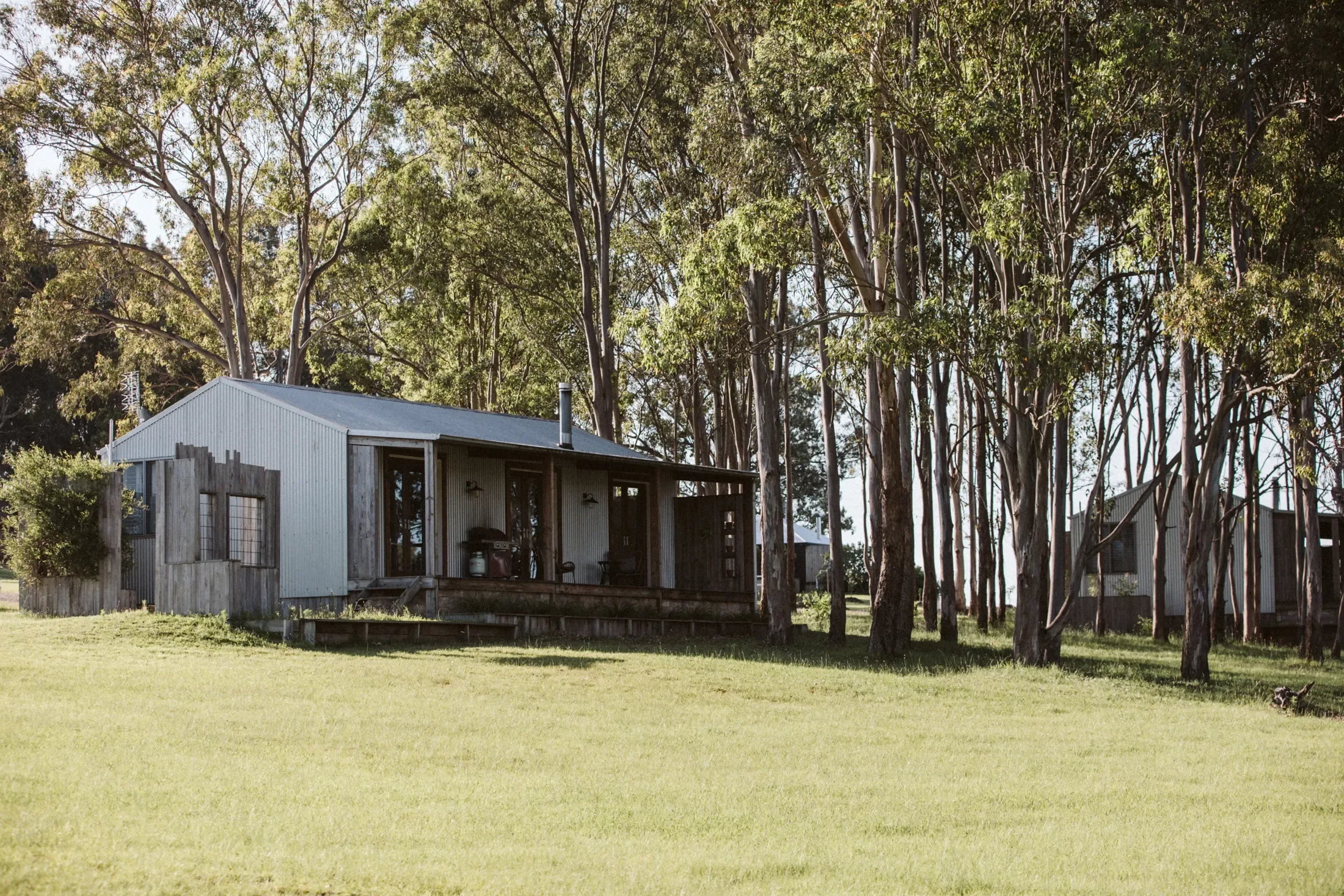 A backyard scene featuring a small house with a corrugated metal roof, surrounded by a lush green lawn and tall trees in the background.