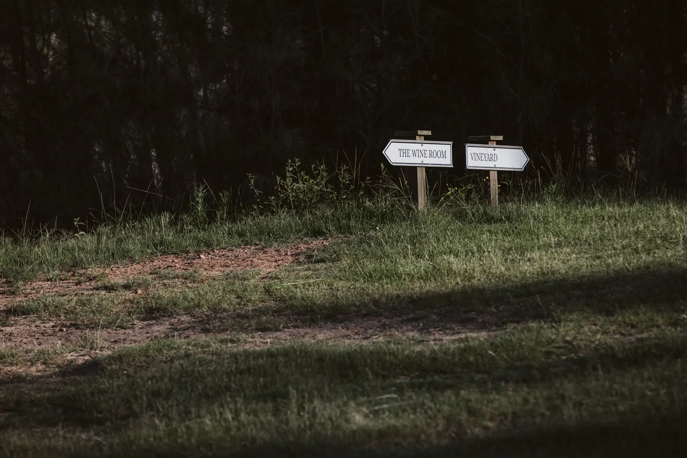 Outdoor scene with two directional signposts on grassy ground. One sign points left labeled 'THE WINE ROOM' and the other points right labeled 'VINEYARD'. Dark trees in the background.