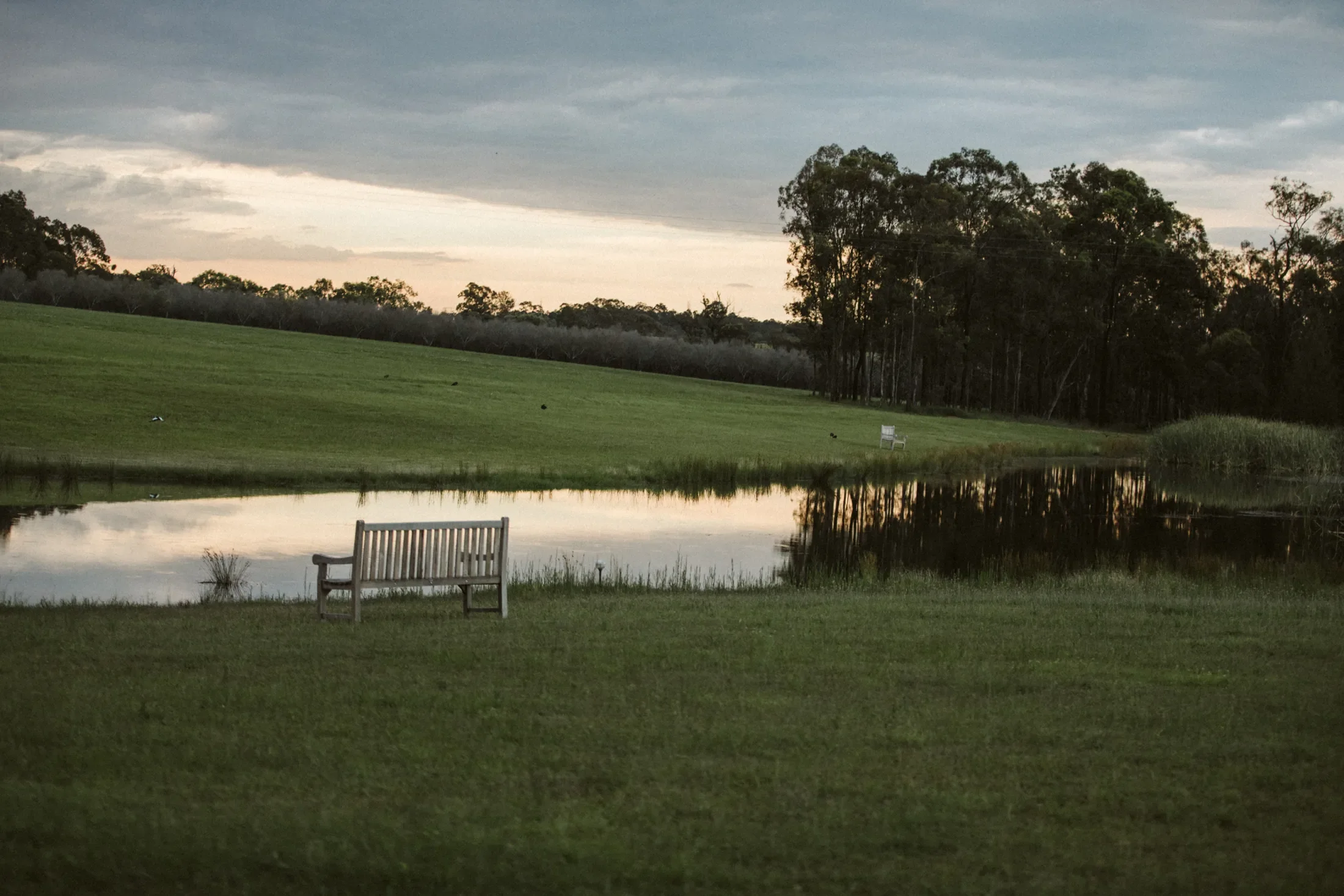A peaceful lakeside scene at sunset with a bench by the water and a grassy lawn, surrounded by trees and a cloudy sky.