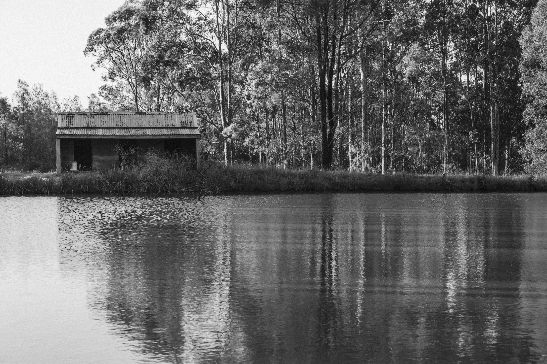 A black and white photo of a lakeside scene with tall trees in the background and a small wooden structure near the water's edge.