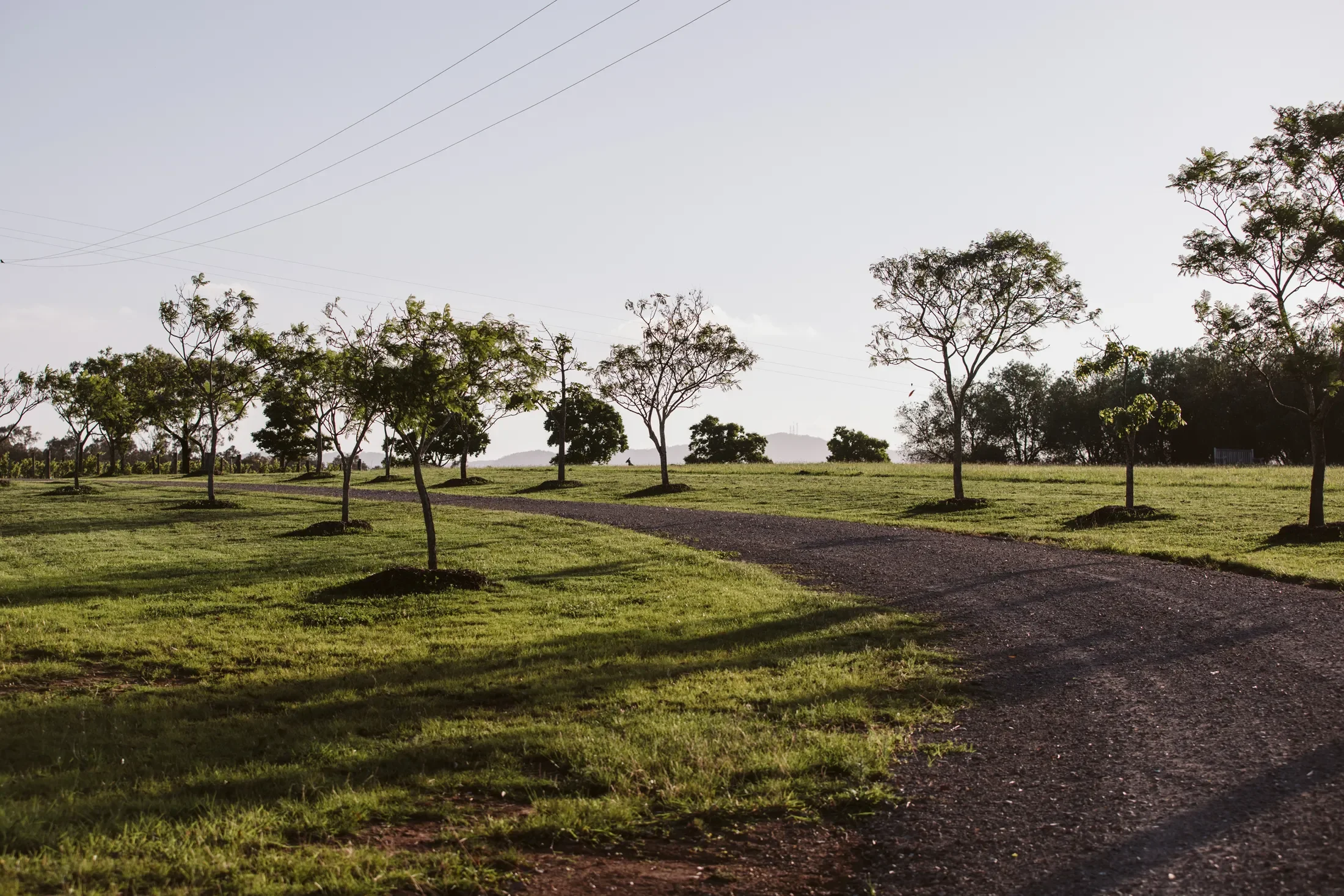 A park with a grassy area, a gravel pathway, numerous trees, and a distant mountain in the background under a clear sky.