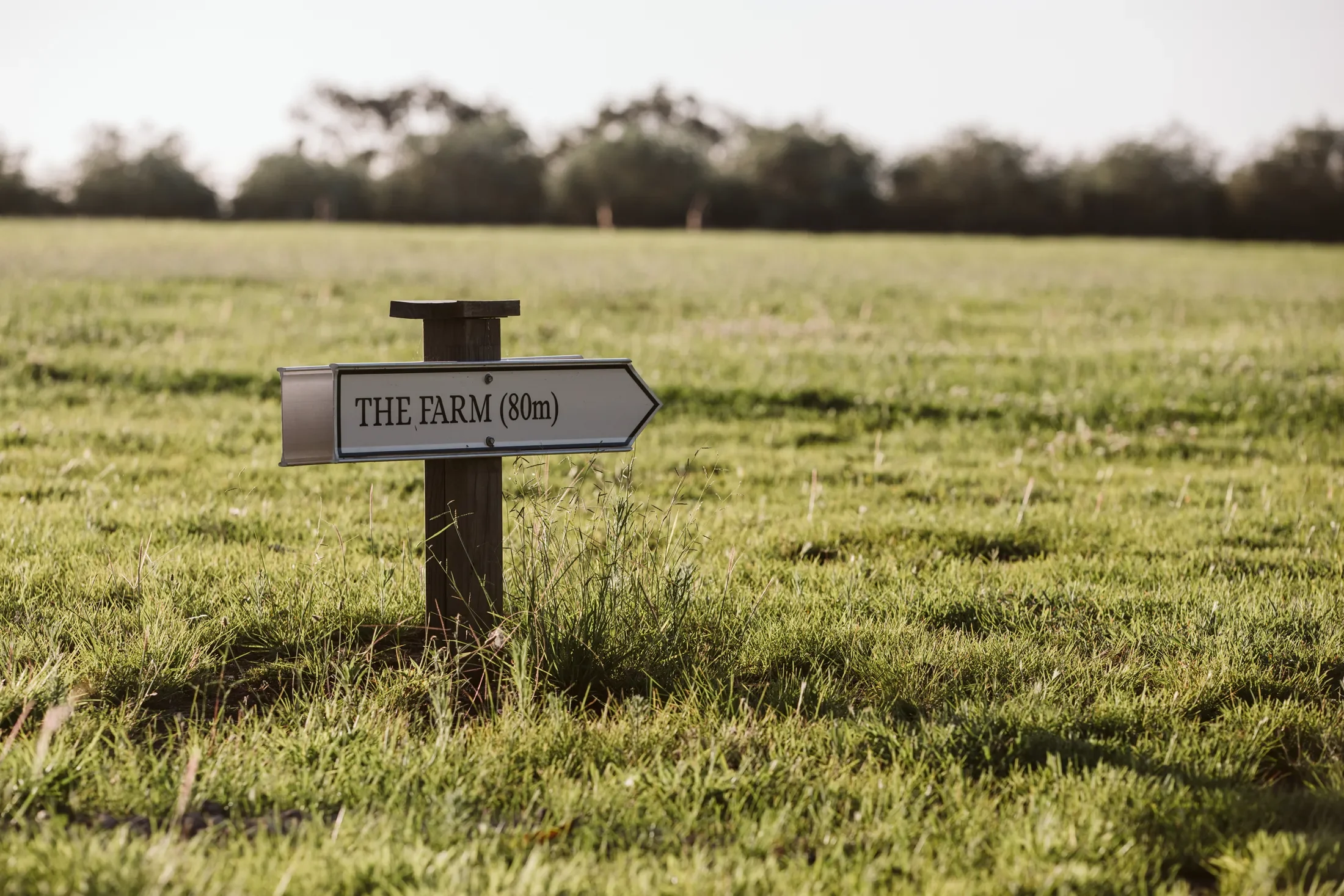 A sign on a wooden post pointing towards a farm, indicating it is 80 meters away, with a grassy field and trees in the background.