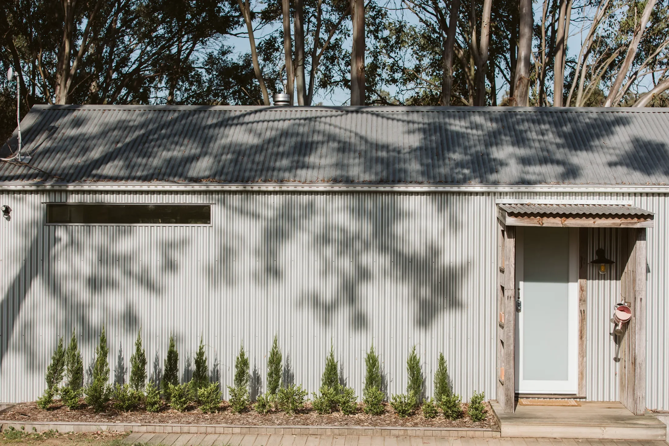 A building with corrugated metal siding, a long horizontal window, and a door with a small awning. Shadows of trees are cast on the roof, and there are plants along the front of the building.